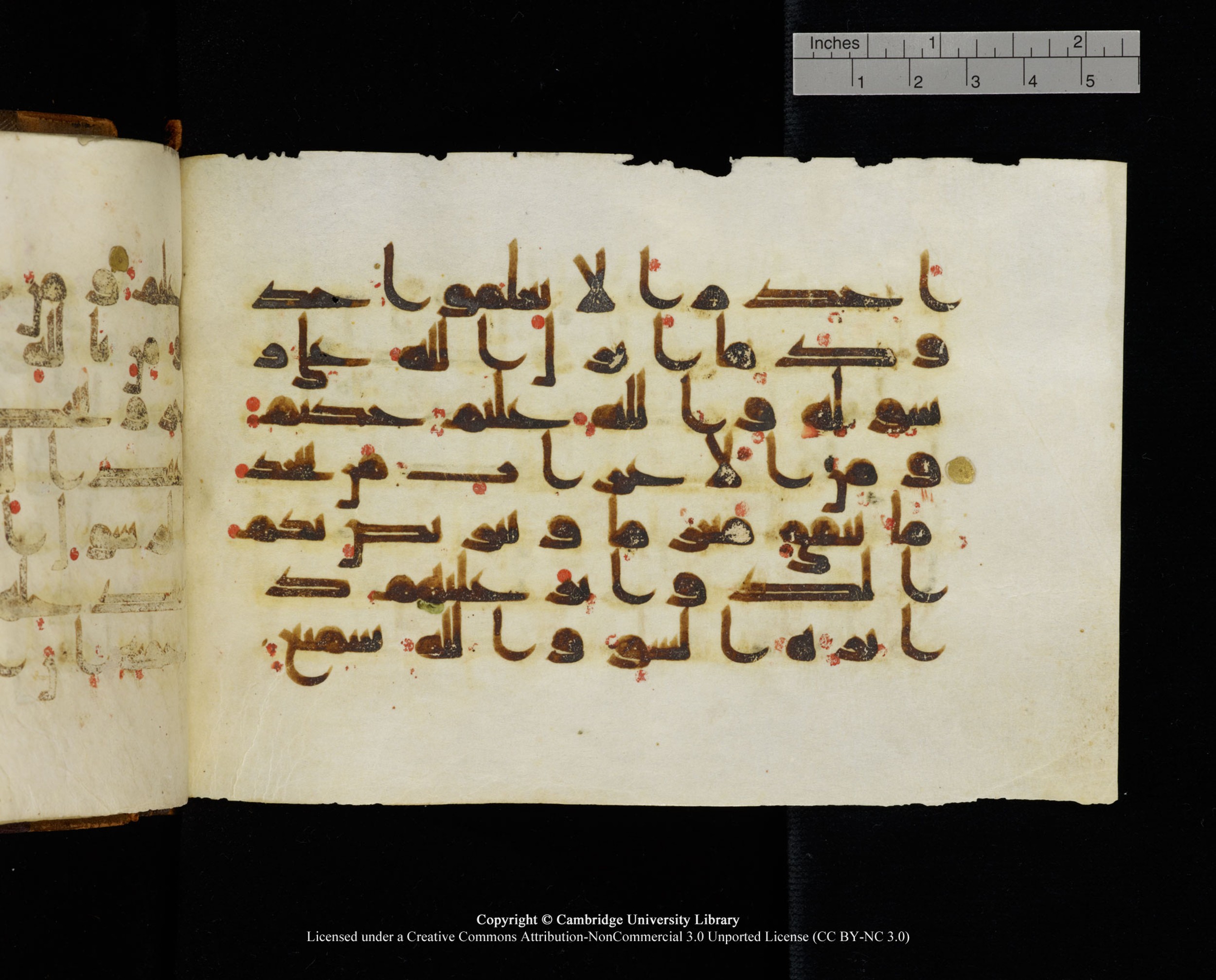 MS Add.1124 (Scan 2), in kūfī D I script, showing Surah 9:97 from 9th to 10th Century AD found in Sinai Peninsula, currently housed at Cambridge University Library, Cambridge