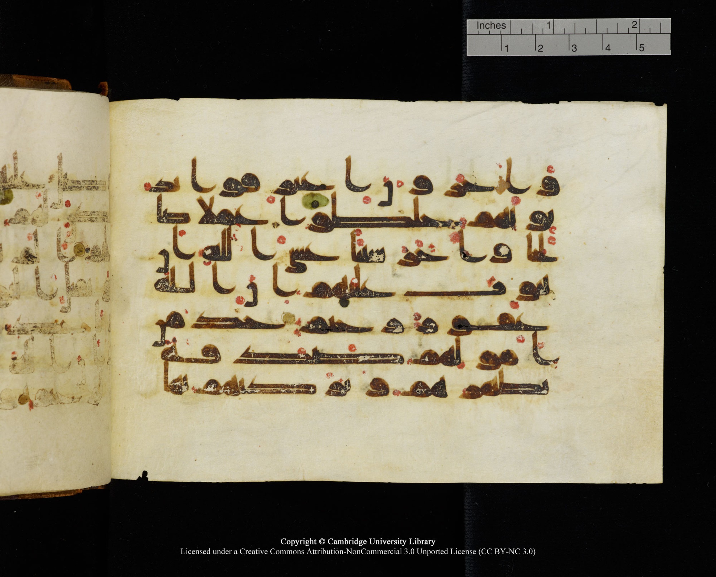 MS Add.1124 (Scan 1), in kūfī D I script, showing Surah 9:103 from 9th to 10th Century AD found in Sinai Peninsula, currently housed at Cambridge University Library, Cambridge
