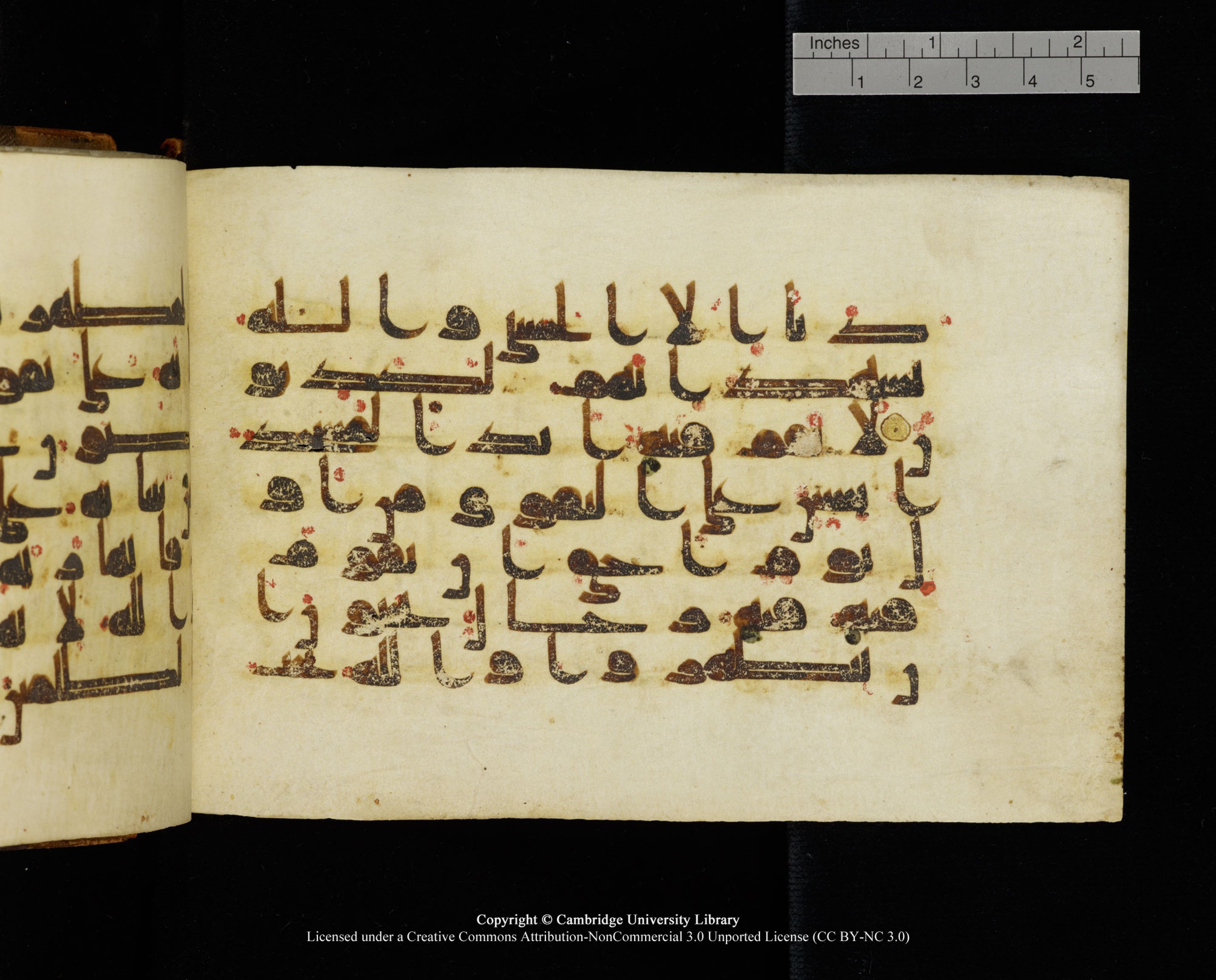 MS Add.1124 (Scan 1), in kūfī D I script, showing Surah 9:108 from 9th to 10th Century AD found in Sinai Peninsula, currently housed at Cambridge University Library, Cambridge