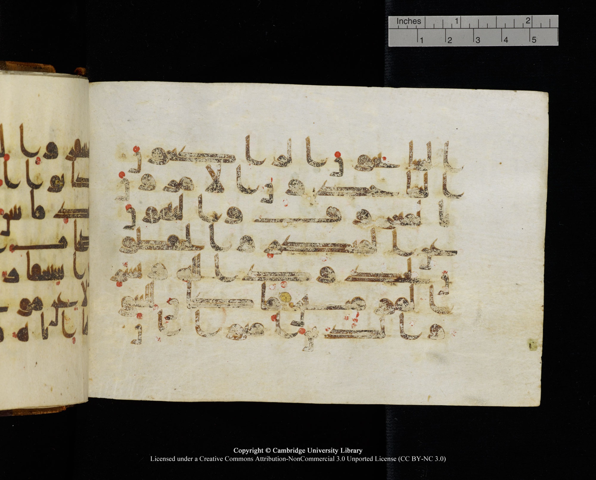 MS Add.1124 (Scan 1), in kūfī D I script, showing Surah 9:113 from 9th to 10th Century AD found in Sinai Peninsula, currently housed at Cambridge University Library, Cambridge