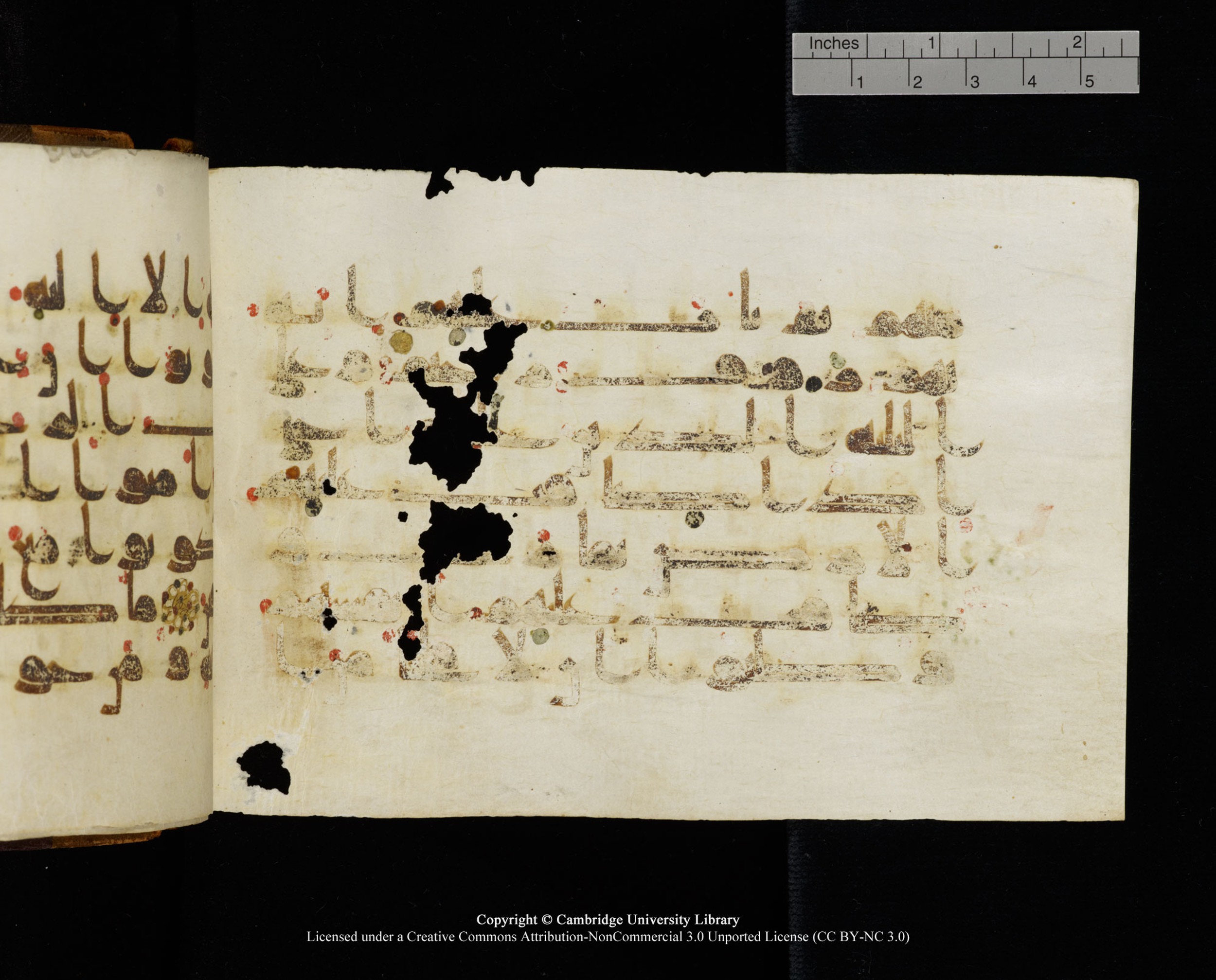 MS Add.1124 (Scan 2), in kūfī D I script, showing Surah 9:117 from 9th to 10th Century AD found in Sinai Peninsula, currently housed at Cambridge University Library, Cambridge