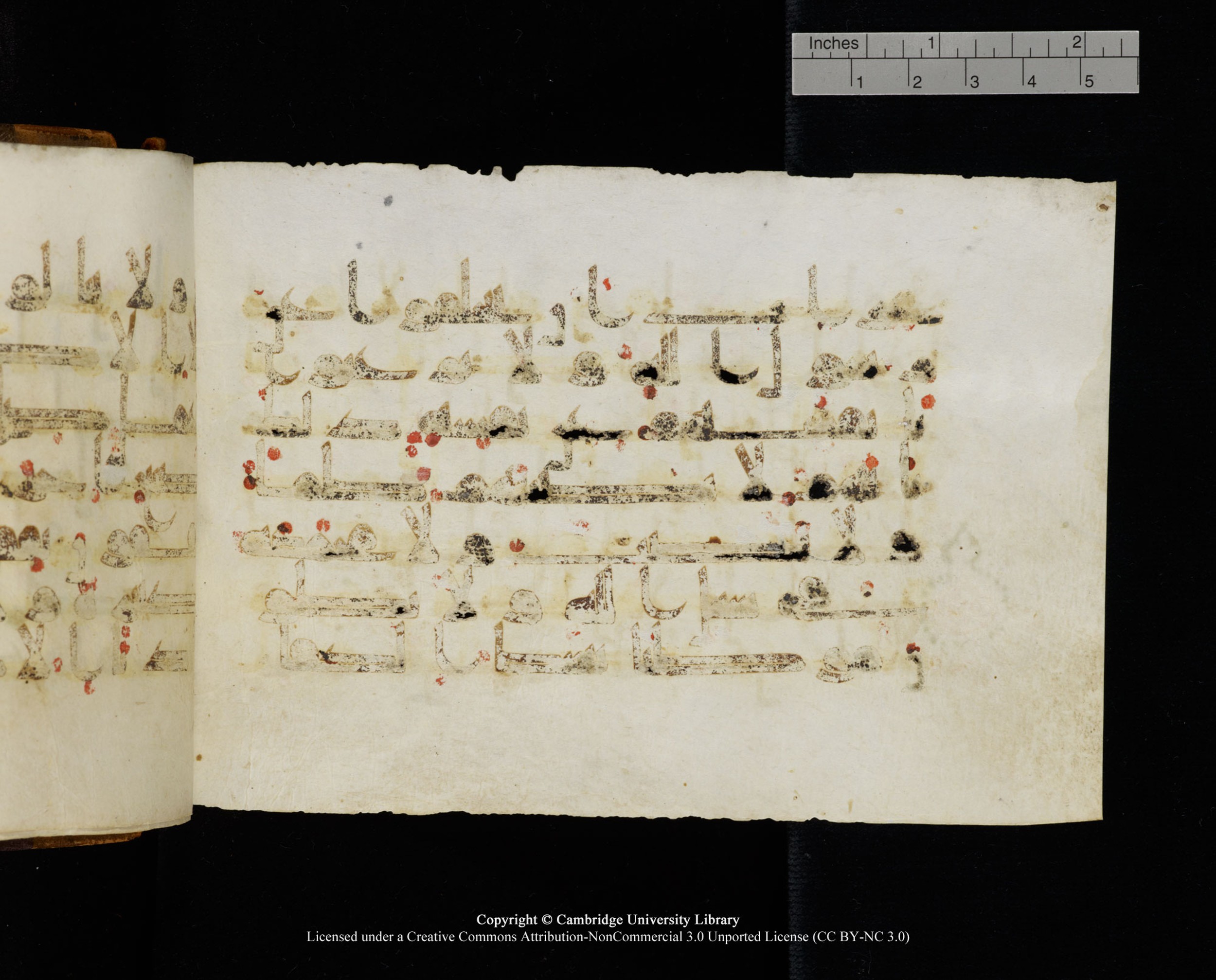 MS Add.1124 (Scan 2), in kūfī D I script, showing Surah 9:120 from 9th to 10th Century AD found in Sinai Peninsula, currently housed at Cambridge University Library, Cambridge