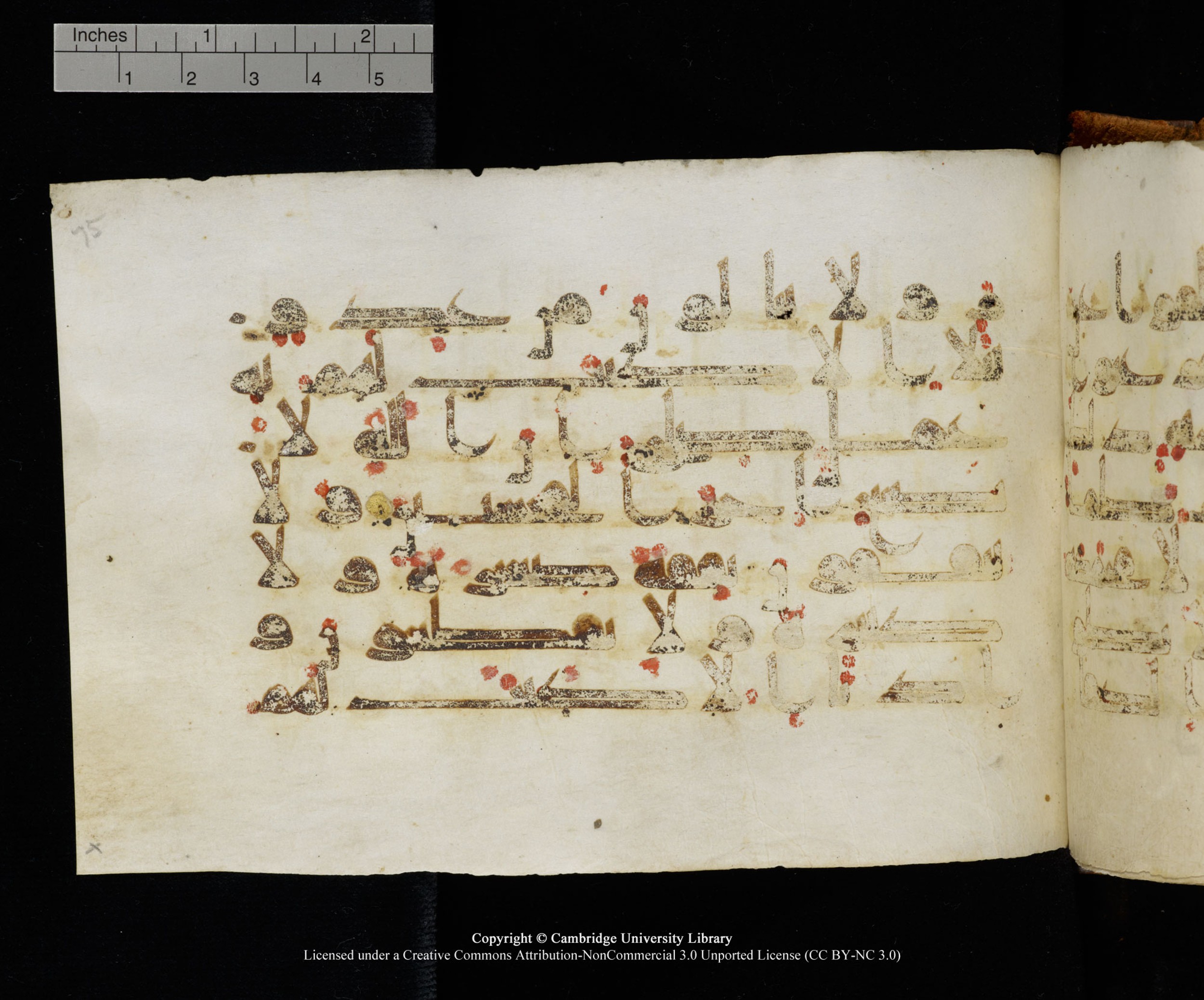 MS Add.1124 (Scan 1), in kūfī D I script, showing Surah 9:121 from 9th to 10th Century AD found in Sinai Peninsula, currently housed at Cambridge University Library, Cambridge