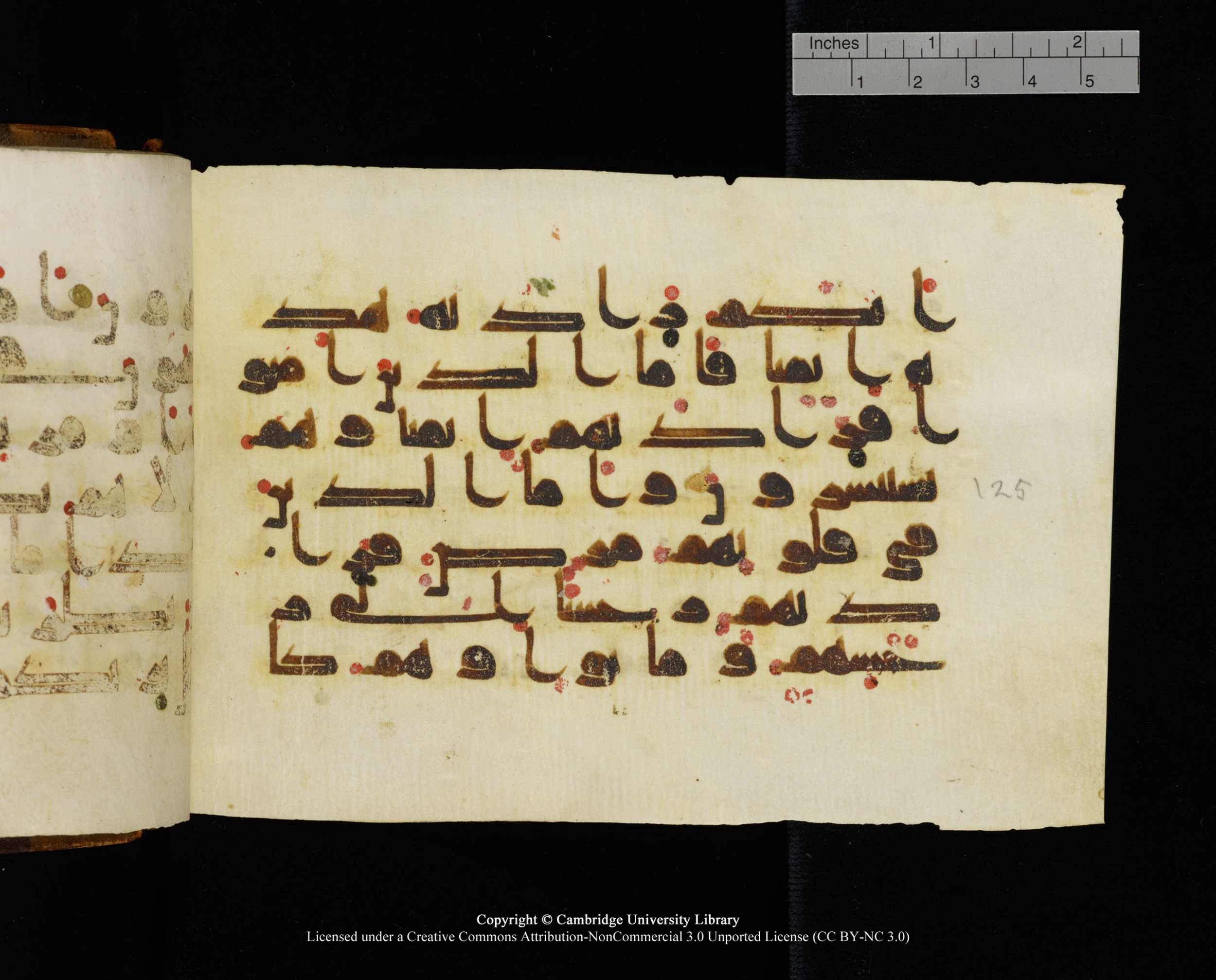 MS Add.1124 (Scan 2), in kūfī D I script, showing Surah 9:124 from 9th to 10th Century AD found in Sinai Peninsula, currently housed at Cambridge University Library, Cambridge