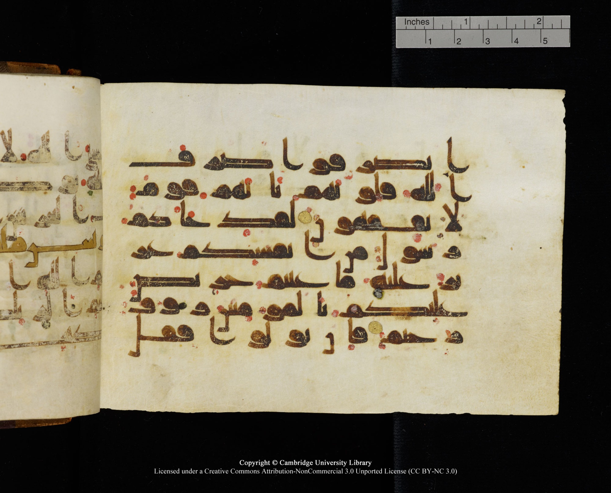 MS Add.1124 (Scan 1), in kūfī D I script, showing Surah 9:129 from 9th to 10th Century AD found in Sinai Peninsula, currently housed at Cambridge University Library, Cambridge