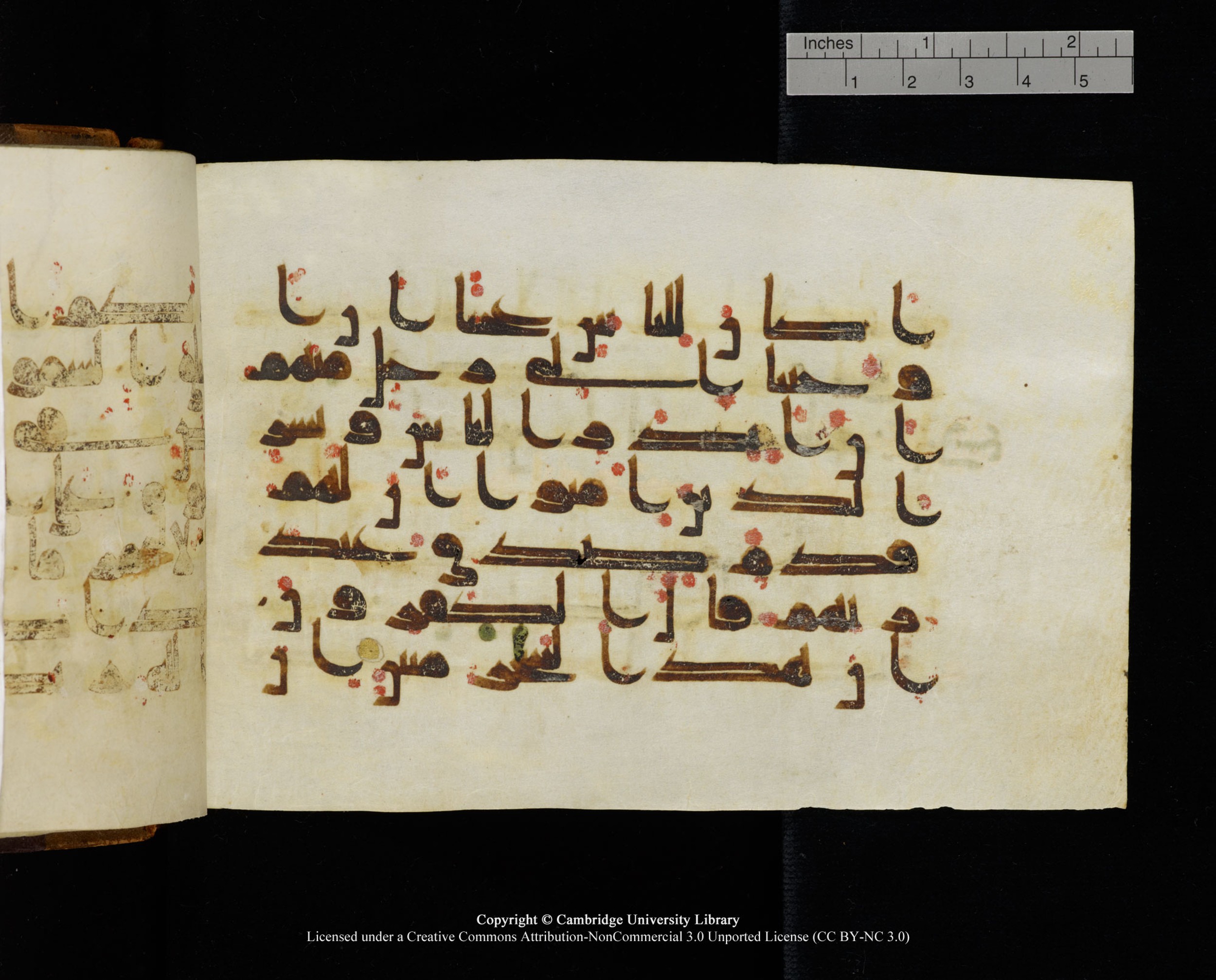 MS Add.1124, in kūfī D I script, showing Surah 10:2 from 9th to 10th Century AD found in Sinai Peninsula, currently housed at Cambridge University Library, Cambridge