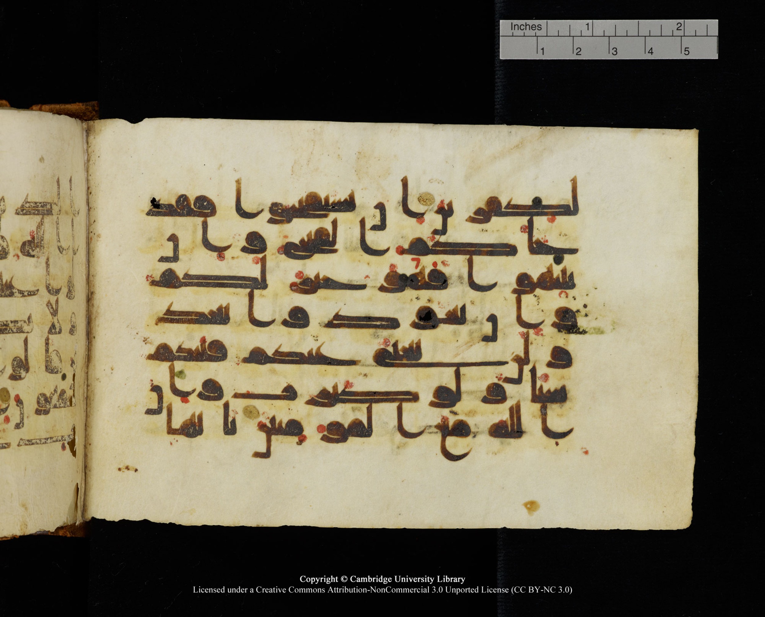 MS Add.1124 (Scan 2), in kūfī D I script, showing Surah 8:18 from 9th to 10th Century AD found in Sinai Peninsula, currently housed at Cambridge University Library, Cambridge