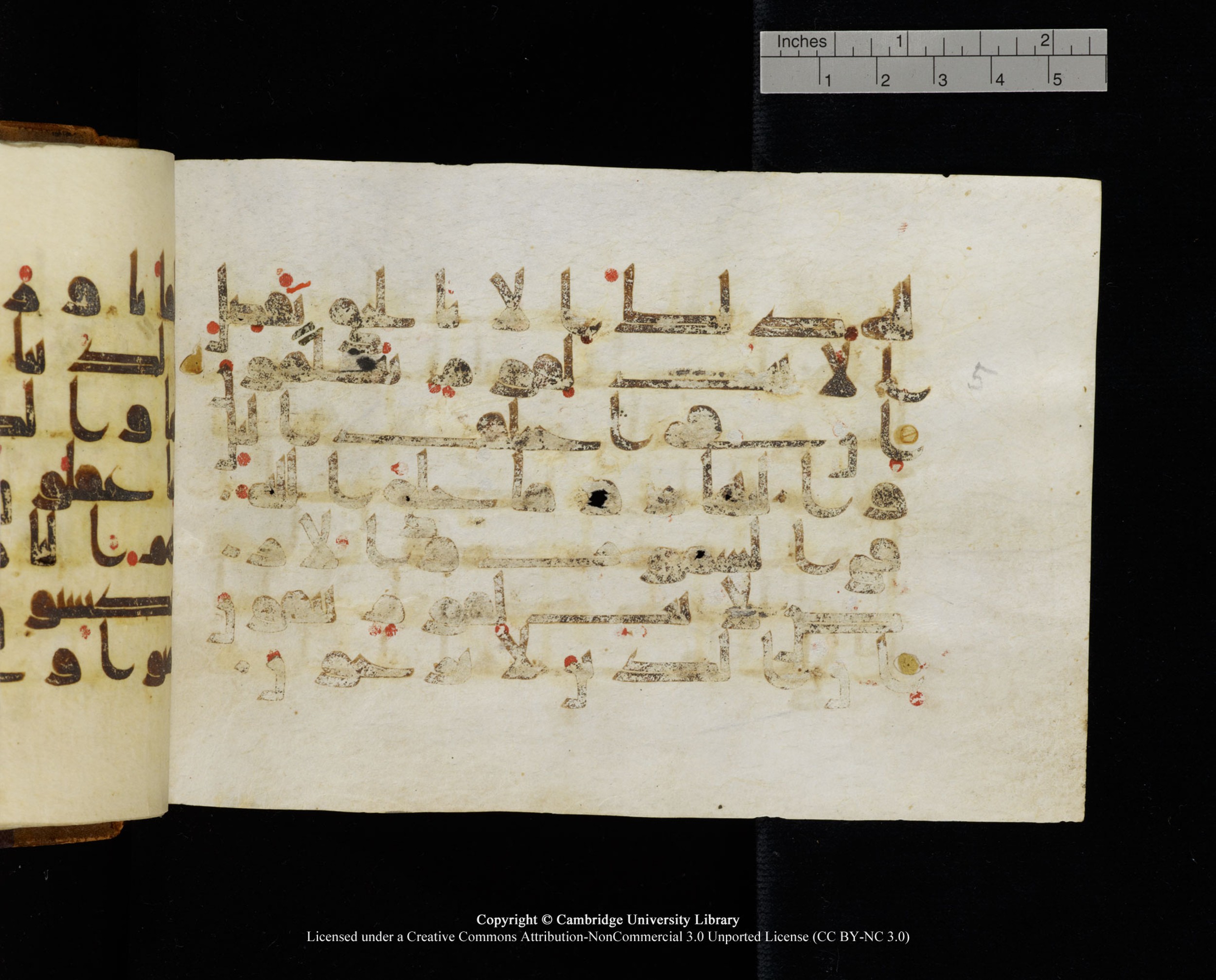 MS Add.1124, in kūfī D I script, showing Surah 10:7 from 9th to 10th Century AD found in Sinai Peninsula, currently housed at Cambridge University Library, Cambridge