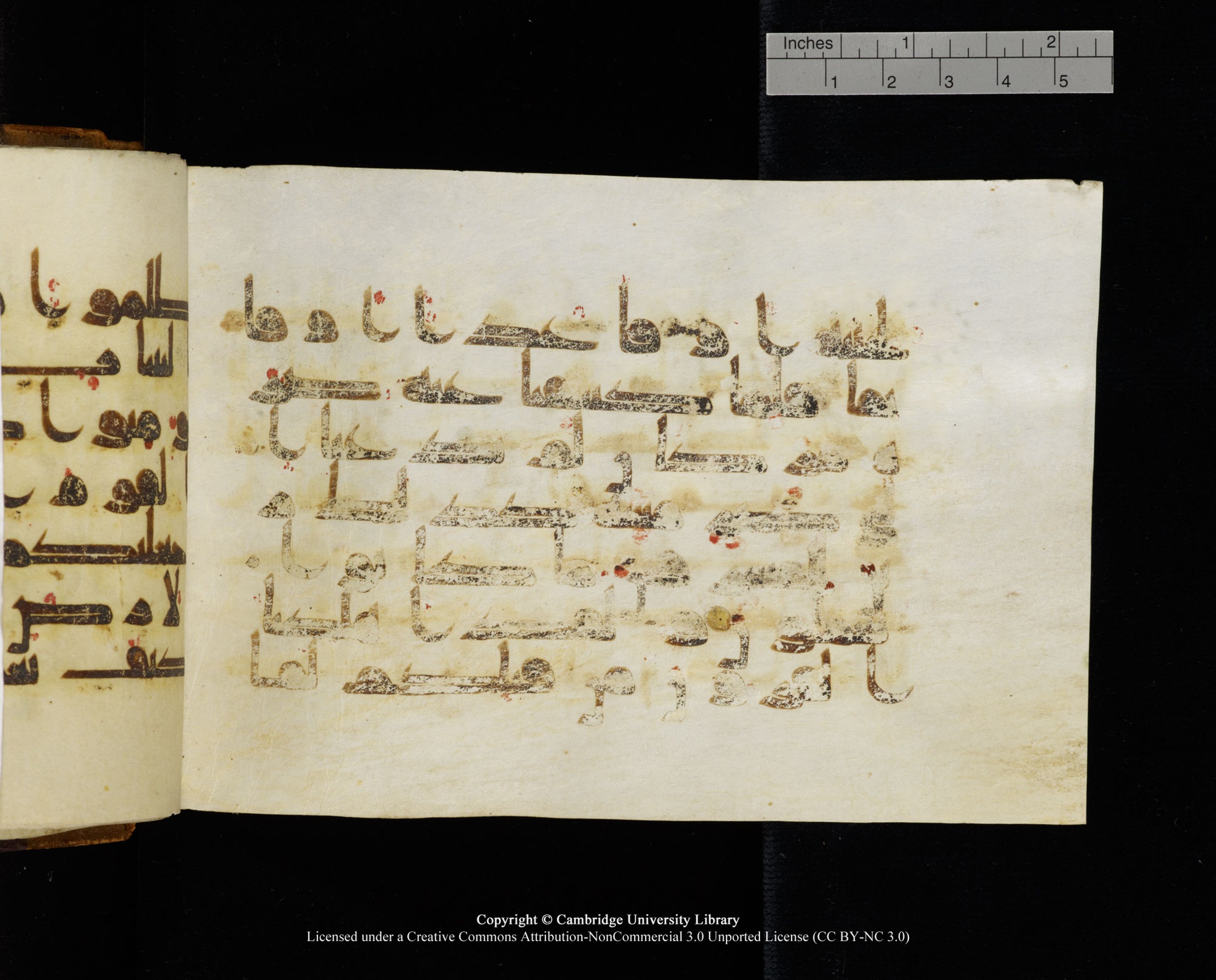 MS Add.1124 (Scan 1), in kūfī D I script, showing Surah 10:13 from 9th to 10th Century AD found in Sinai Peninsula, currently housed at Cambridge University Library, Cambridge
