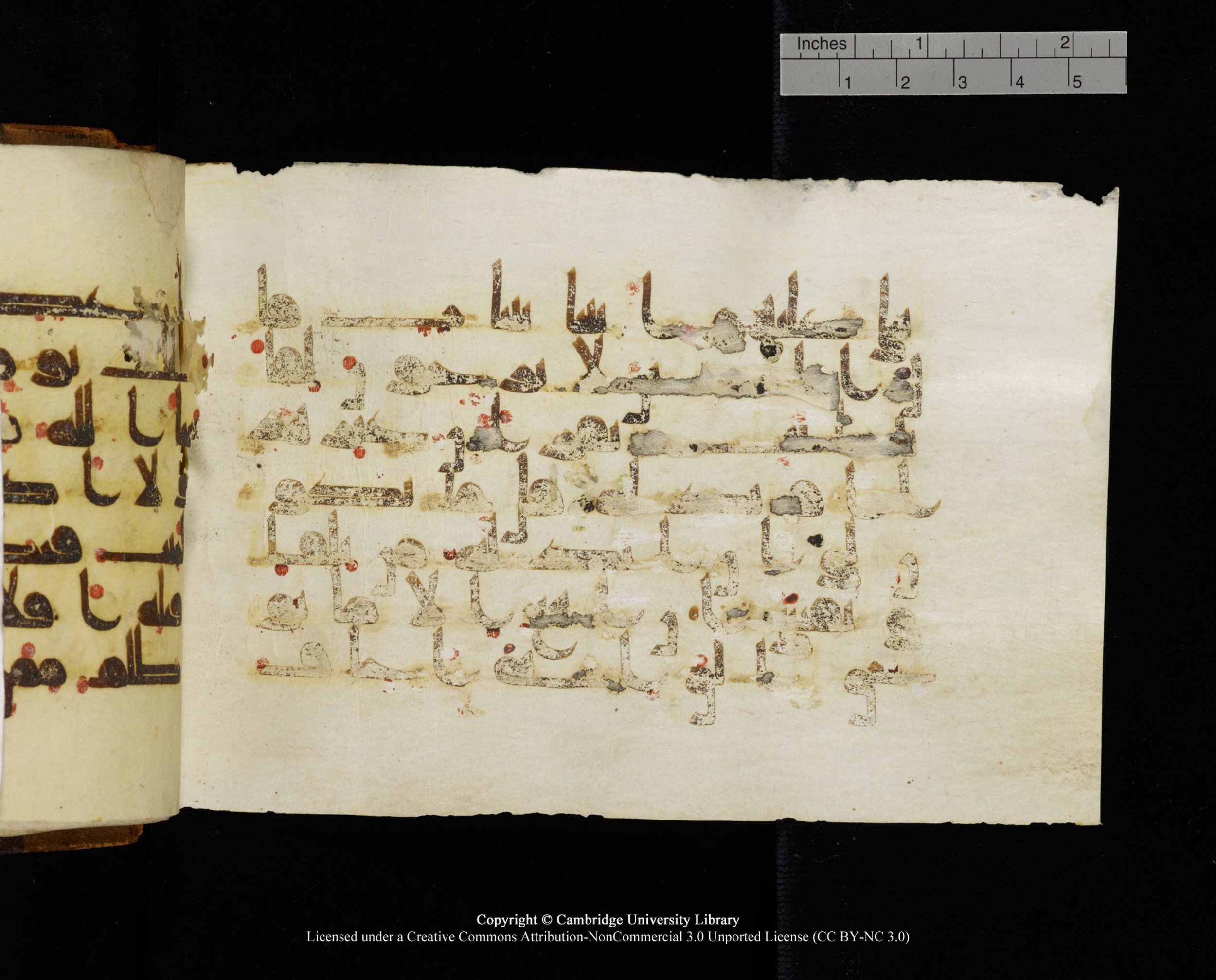 MS Add.1124 (Scan 2), in kūfī D I script, showing Surah 10:15 from 9th to 10th Century AD found in Sinai Peninsula, currently housed at Cambridge University Library, Cambridge