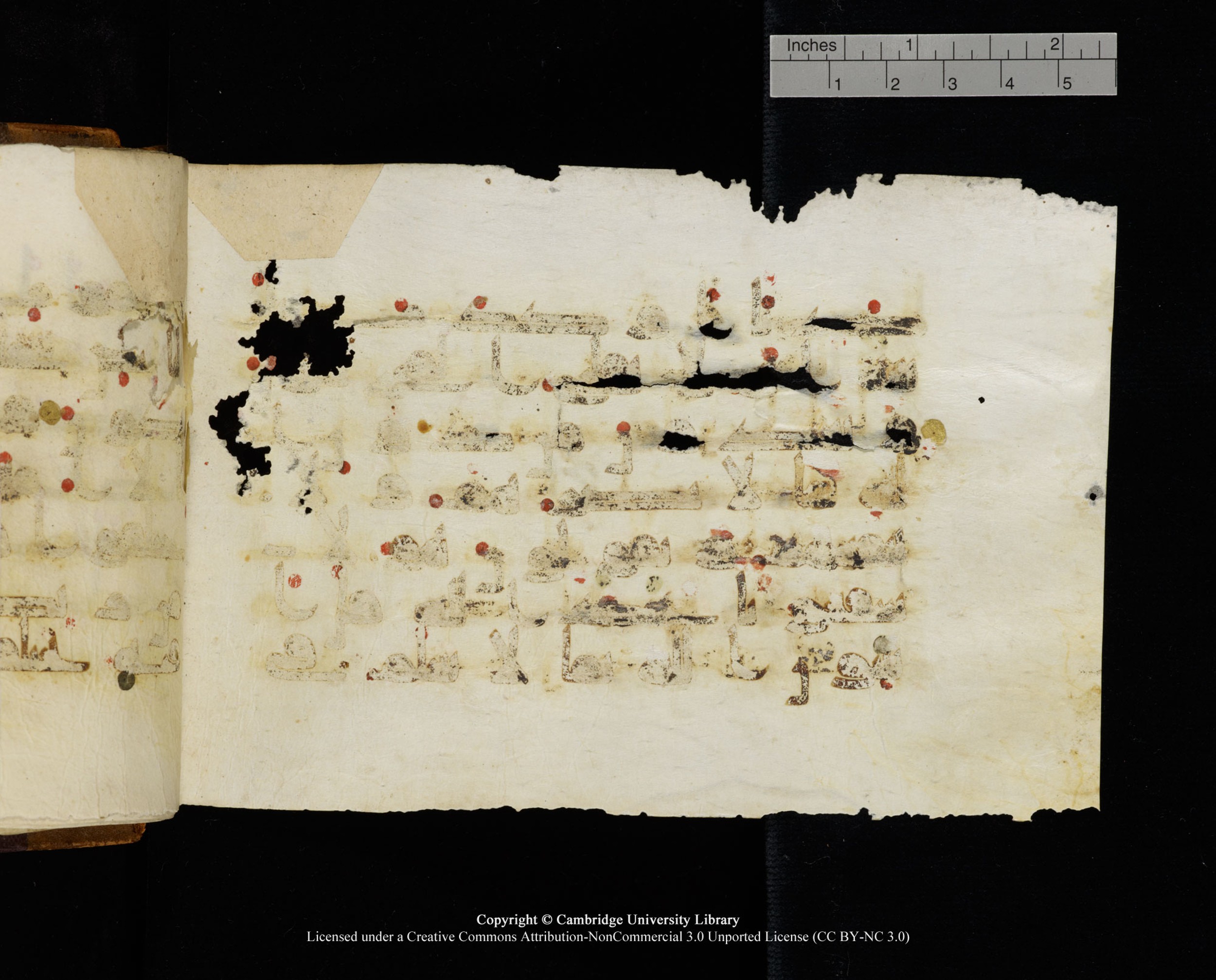 MS Add.1124 (Scan 1), in kūfī D I script, showing Surah 10:18 from 9th to 10th Century AD found in Sinai Peninsula, currently housed at Cambridge University Library, Cambridge