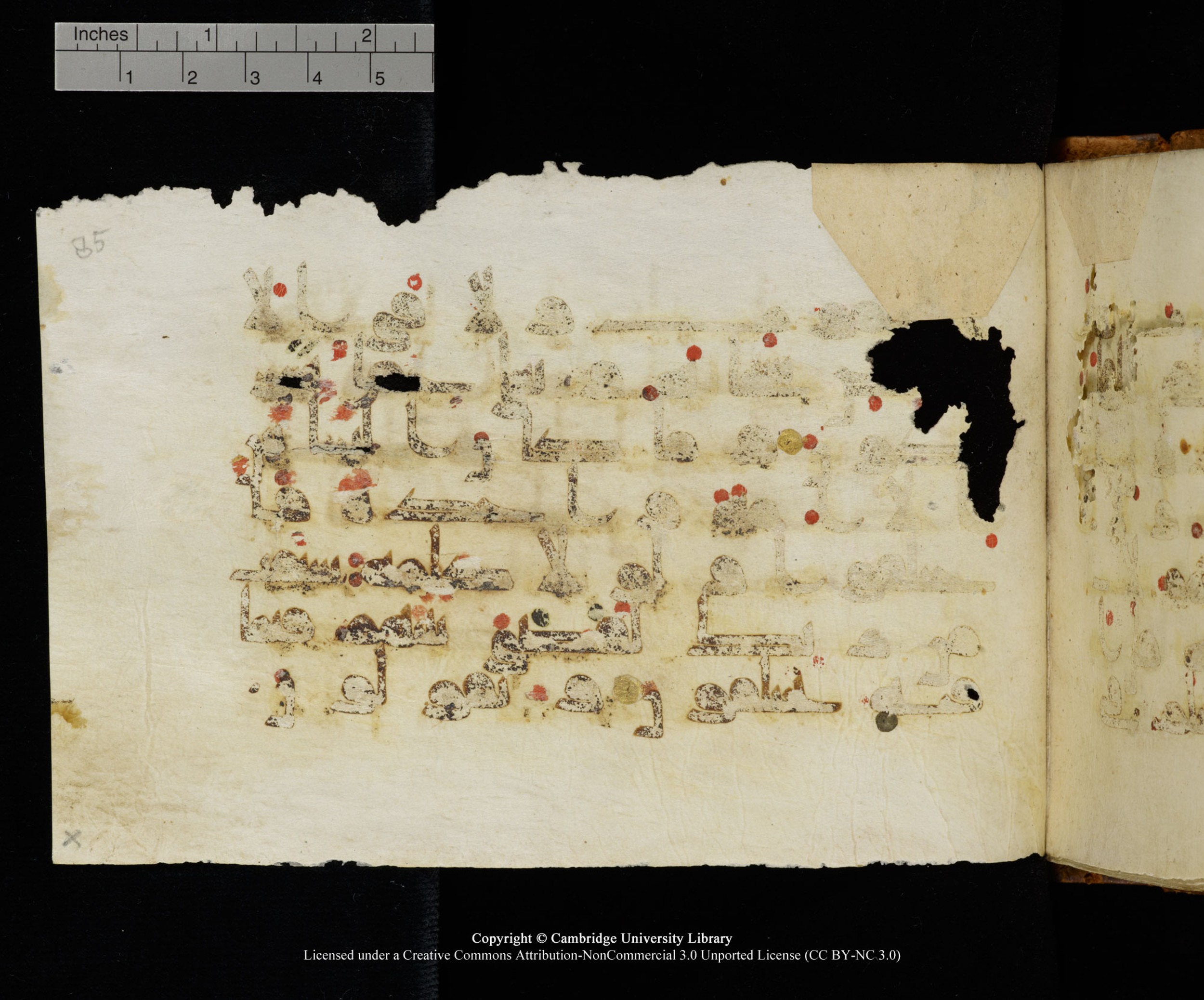 MS Add.1124 (Scan 2), in kūfī D I script, showing Surah 10:18 from 9th to 10th Century AD found in Sinai Peninsula, currently housed at Cambridge University Library, Cambridge
