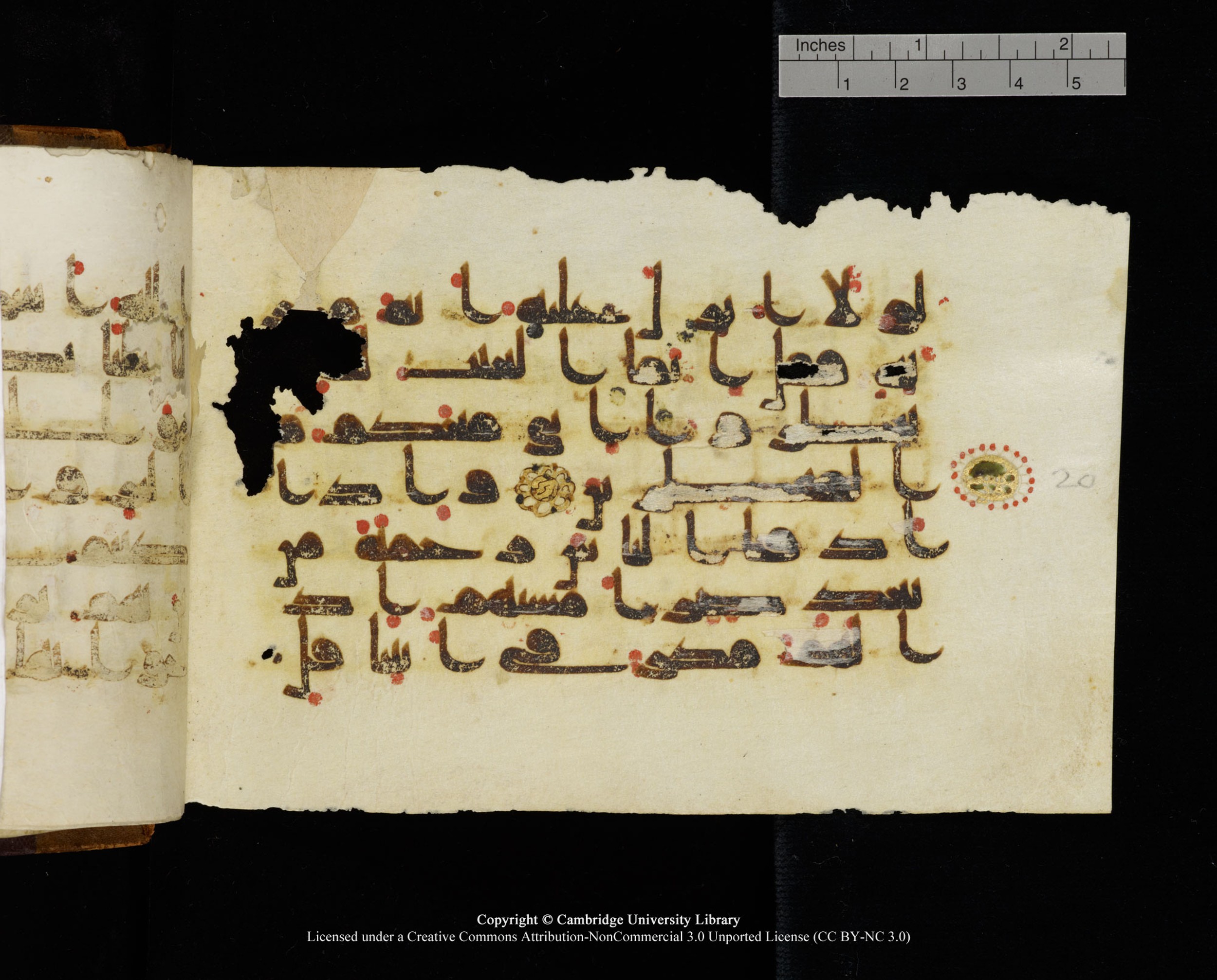 MS Add.1124 (Scan 1), in kūfī D I script, showing Surah 10:21 from 9th to 10th Century AD found in Sinai Peninsula, currently housed at Cambridge University Library, Cambridge