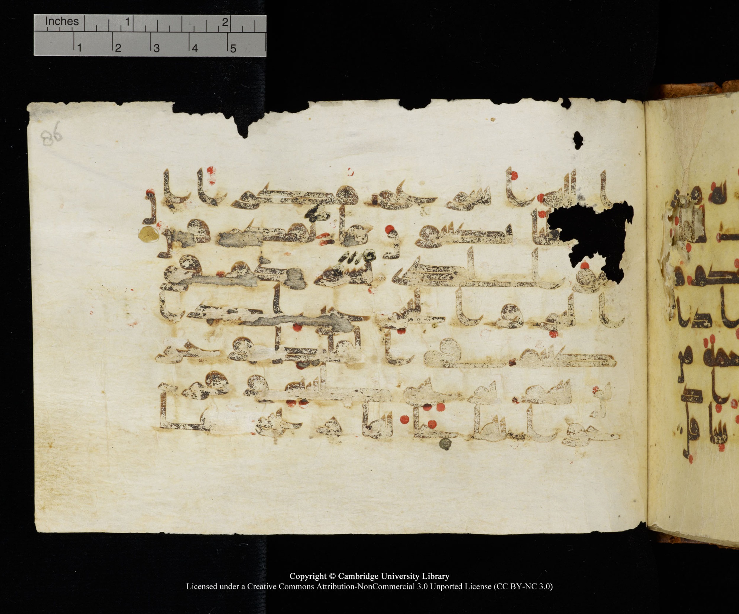 MS Add.1124 (Scan 2), in kūfī D I script, showing Surah 10:21 from 9th to 10th Century AD found in Sinai Peninsula, currently housed at Cambridge University Library, Cambridge