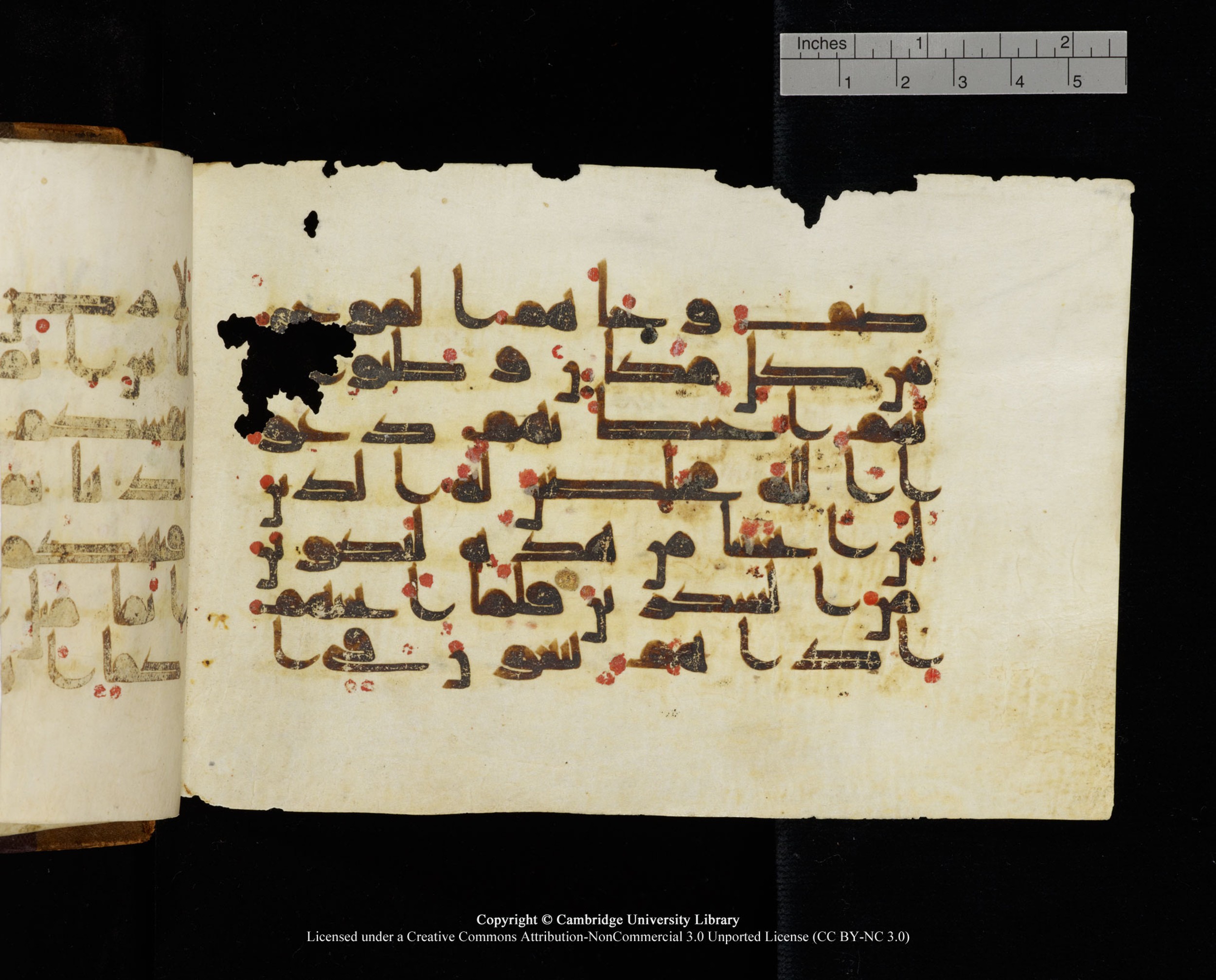 MS Add.1124 (Scan 2), in kūfī D I script, showing Surah 10:22 from 9th to 10th Century AD found in Sinai Peninsula, currently housed at Cambridge University Library, Cambridge