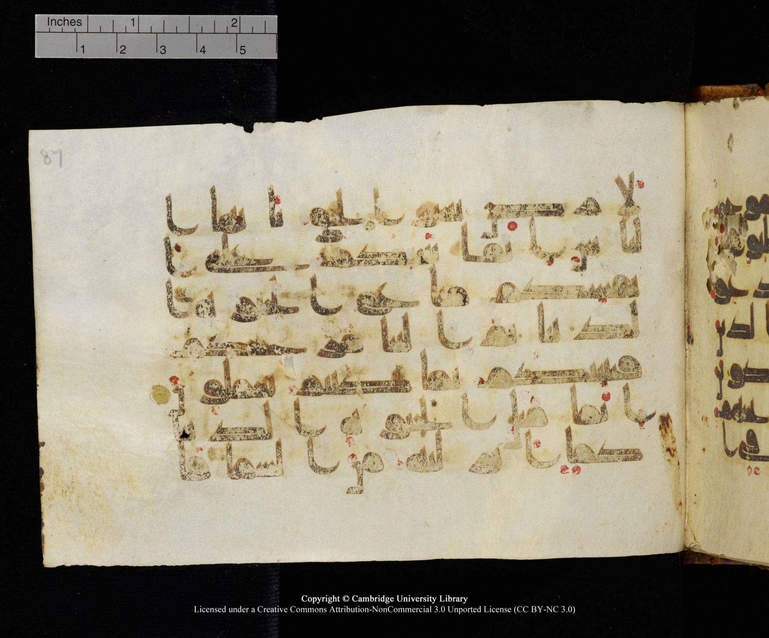 MS Add.1124 (Scan 2), in kūfī D I script, showing Surah 10:23 from 9th to 10th Century AD found in Sinai Peninsula, currently housed at Cambridge University Library, Cambridge