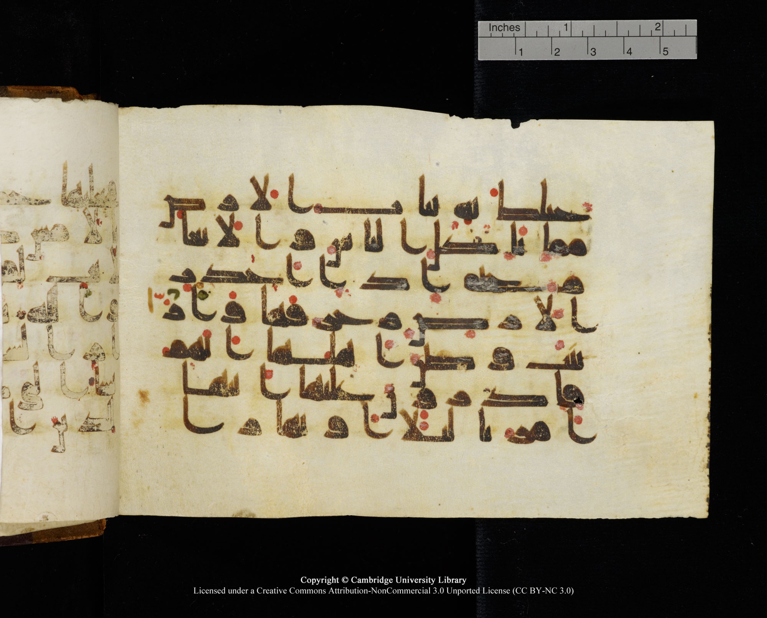 MS Add.1124 (Scan 2), in kūfī D I script, showing Surah 10:24 from 9th to 10th Century AD found in Sinai Peninsula, currently housed at Cambridge University Library, Cambridge