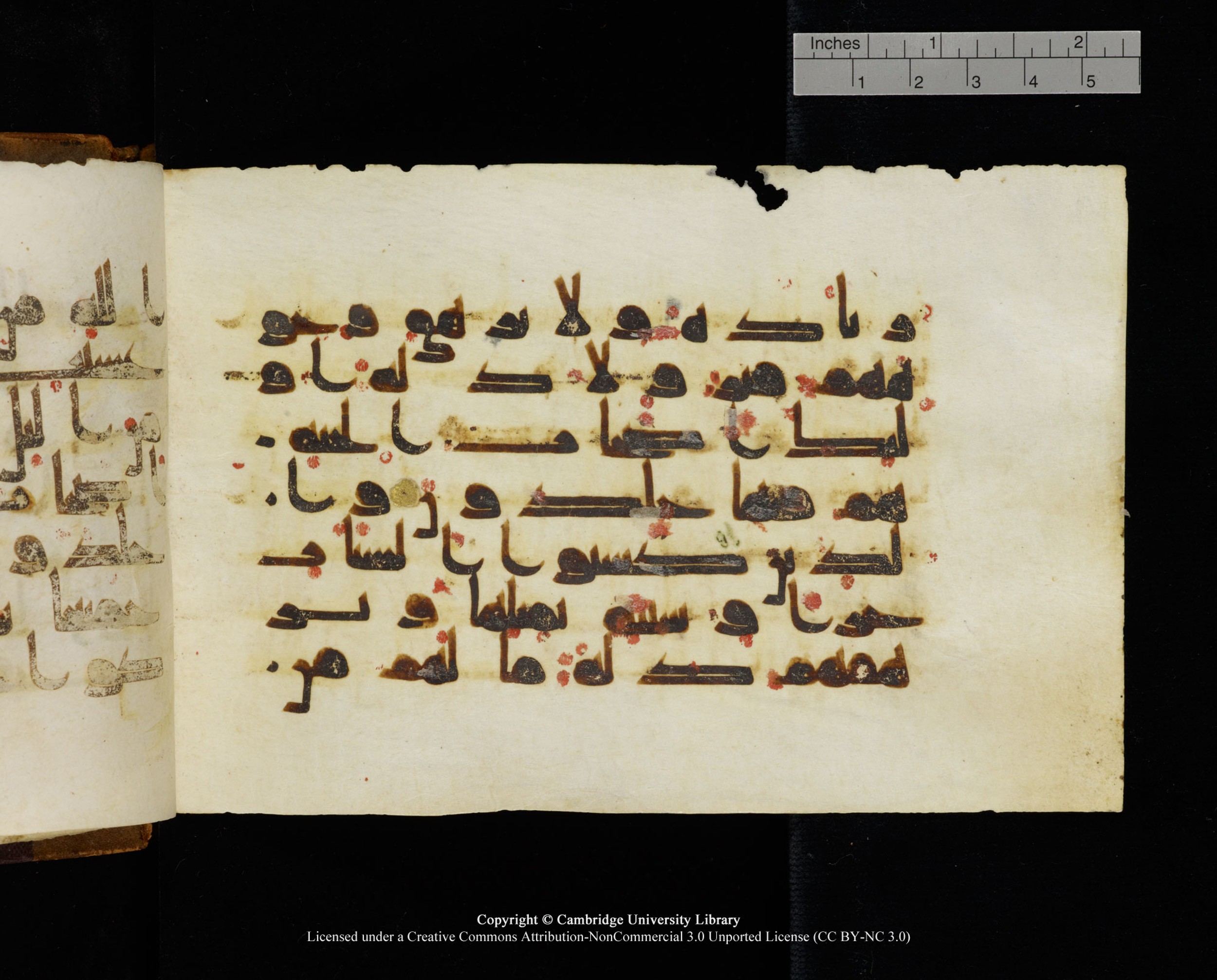 MS Add.1124 (Scan 1), in kūfī D I script, showing Surah 10:27 from 9th to 10th Century AD found in Sinai Peninsula, currently housed at Cambridge University Library, Cambridge