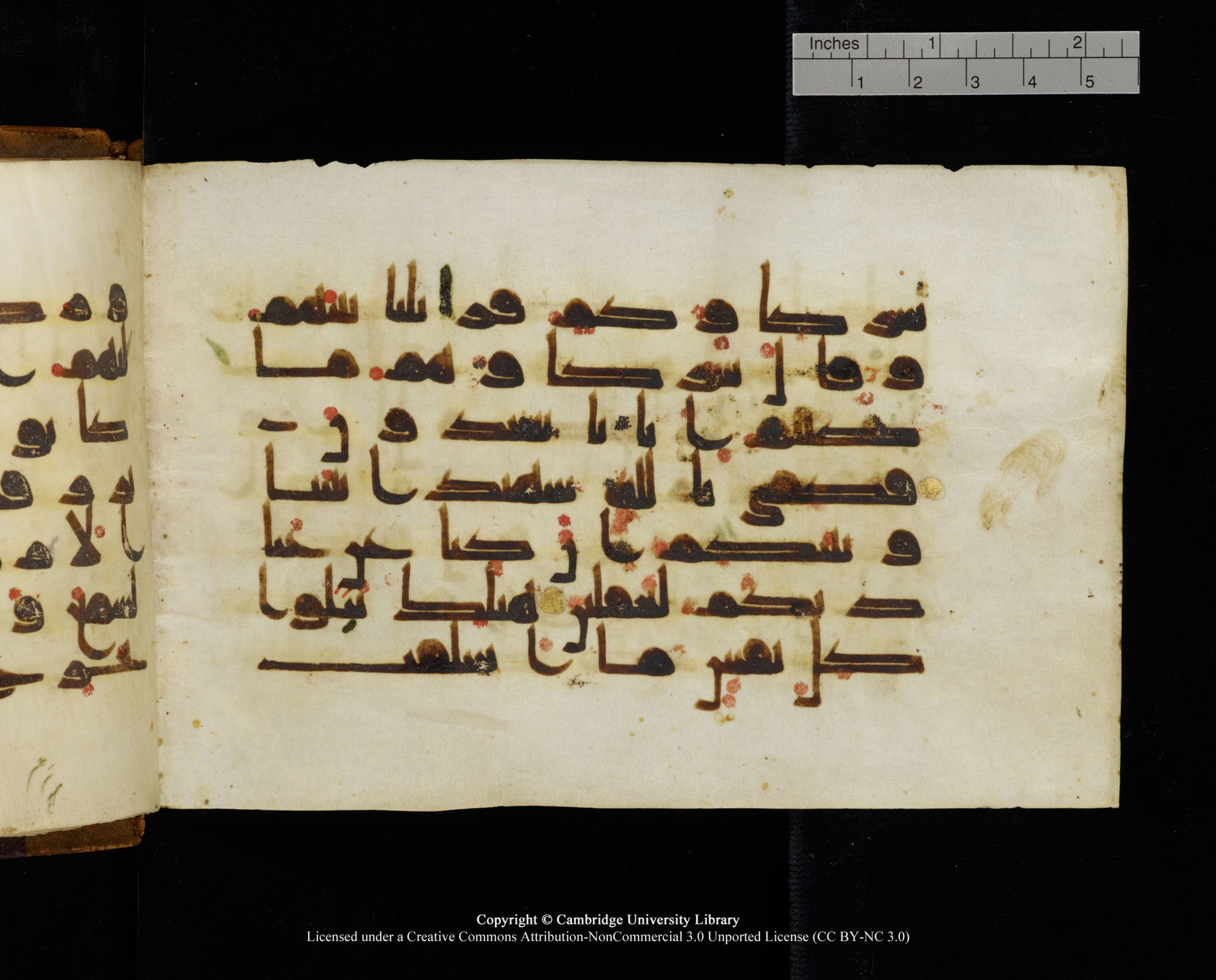 MS Add.1124 (Scan 1), in kūfī D I script, showing Surah 10:30 from 9th to 10th Century AD found in Sinai Peninsula, currently housed at Cambridge University Library, Cambridge