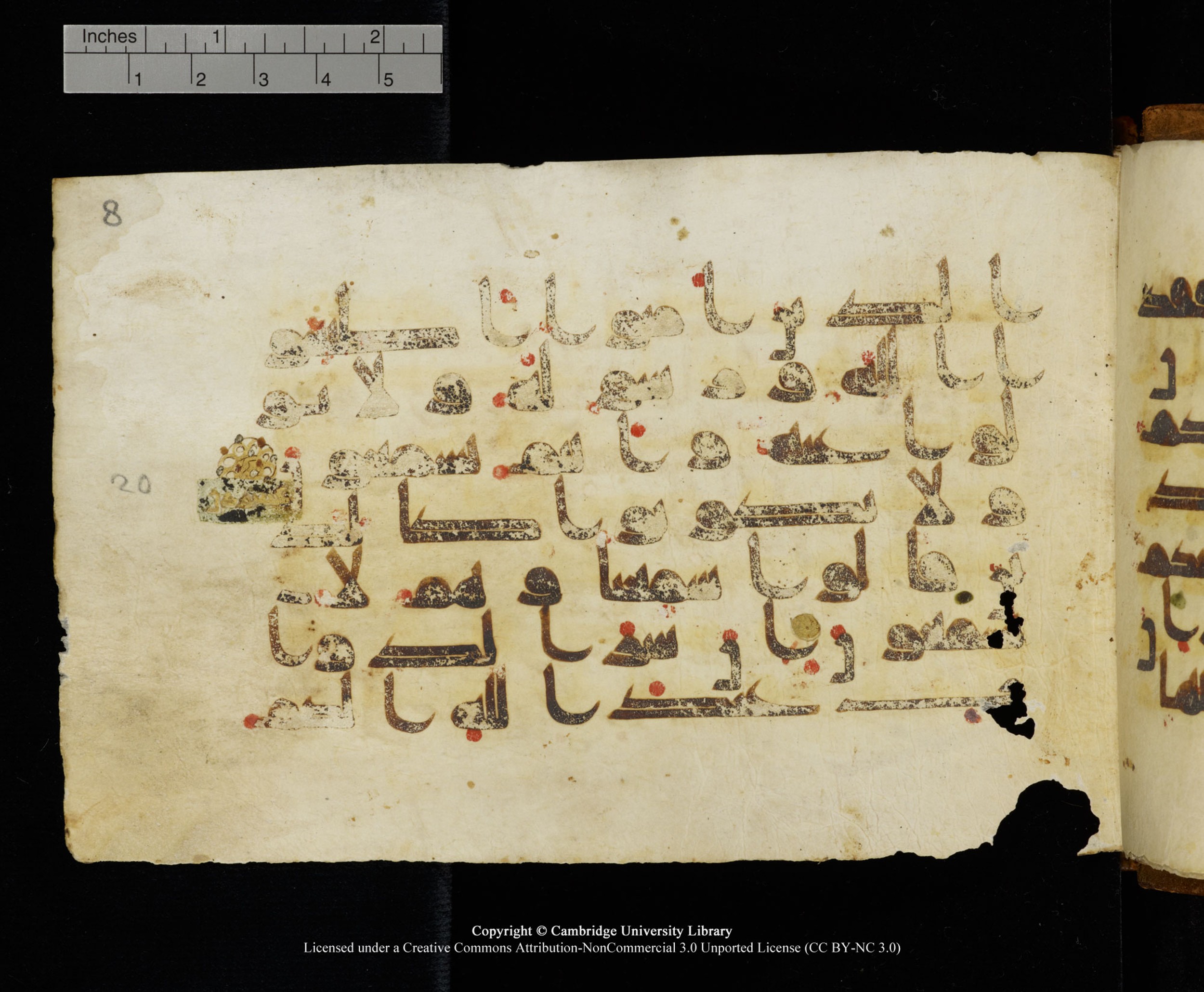 MS Add.1124, in kūfī D I script, showing Surah 8:21 from 9th to 10th Century AD found in Sinai Peninsula, currently housed at Cambridge University Library, Cambridge