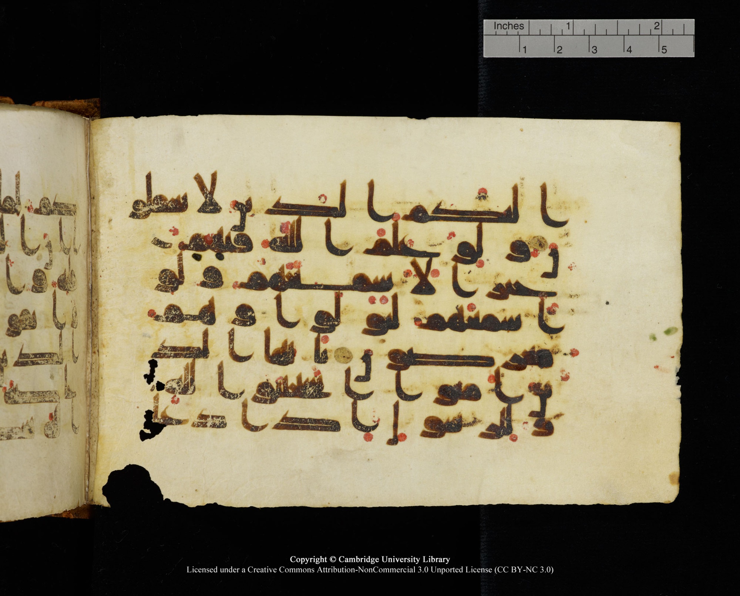MS Add.1124 (Scan 2), in kūfī D I script, showing Surah 8:22 from 9th to 10th Century AD found in Sinai Peninsula, currently housed at Cambridge University Library, Cambridge