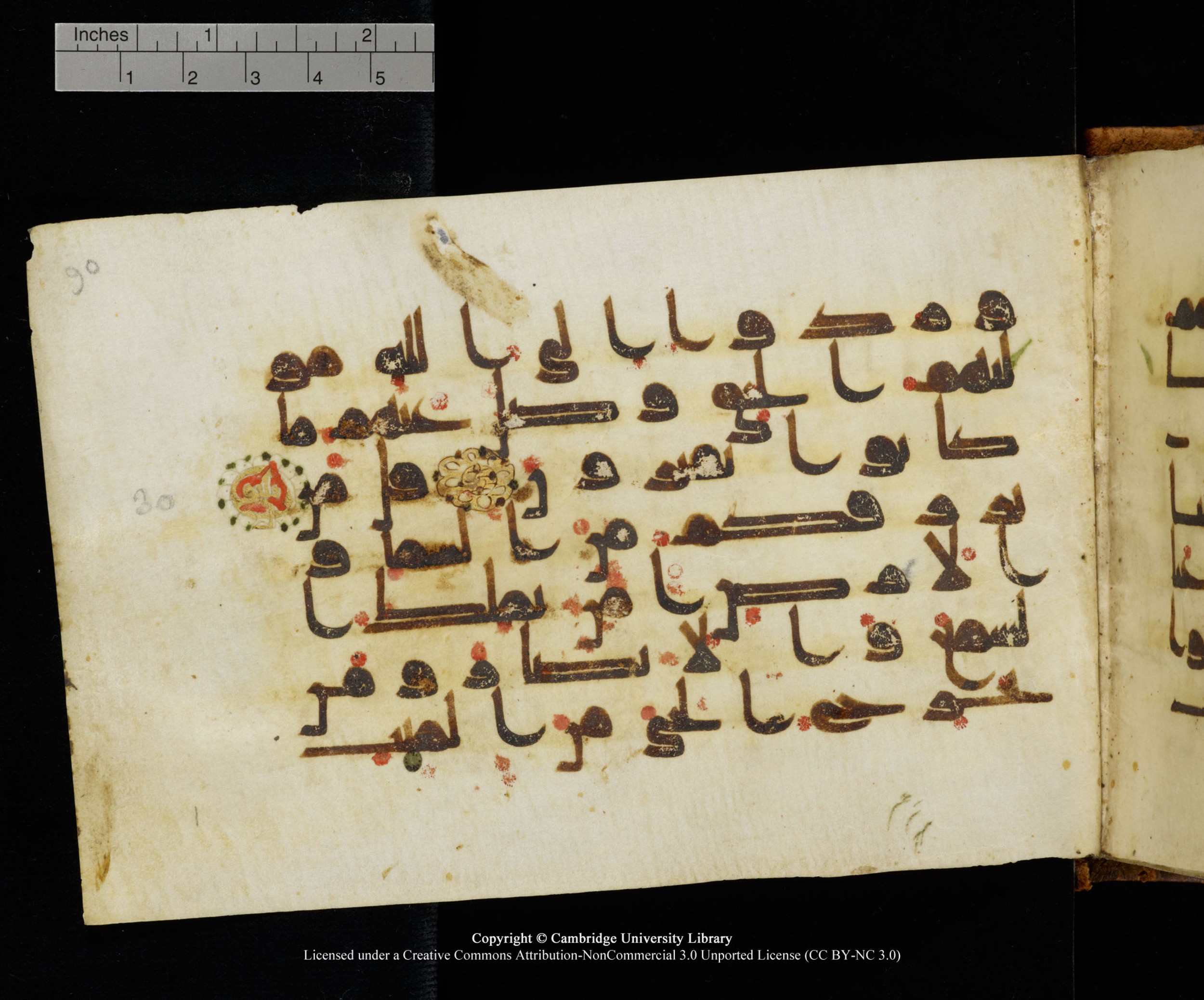 MS Add.1124 (Scan 2), in kūfī D I script, showing Surah 10:30 from 9th to 10th Century AD found in Sinai Peninsula, currently housed at Cambridge University Library, Cambridge