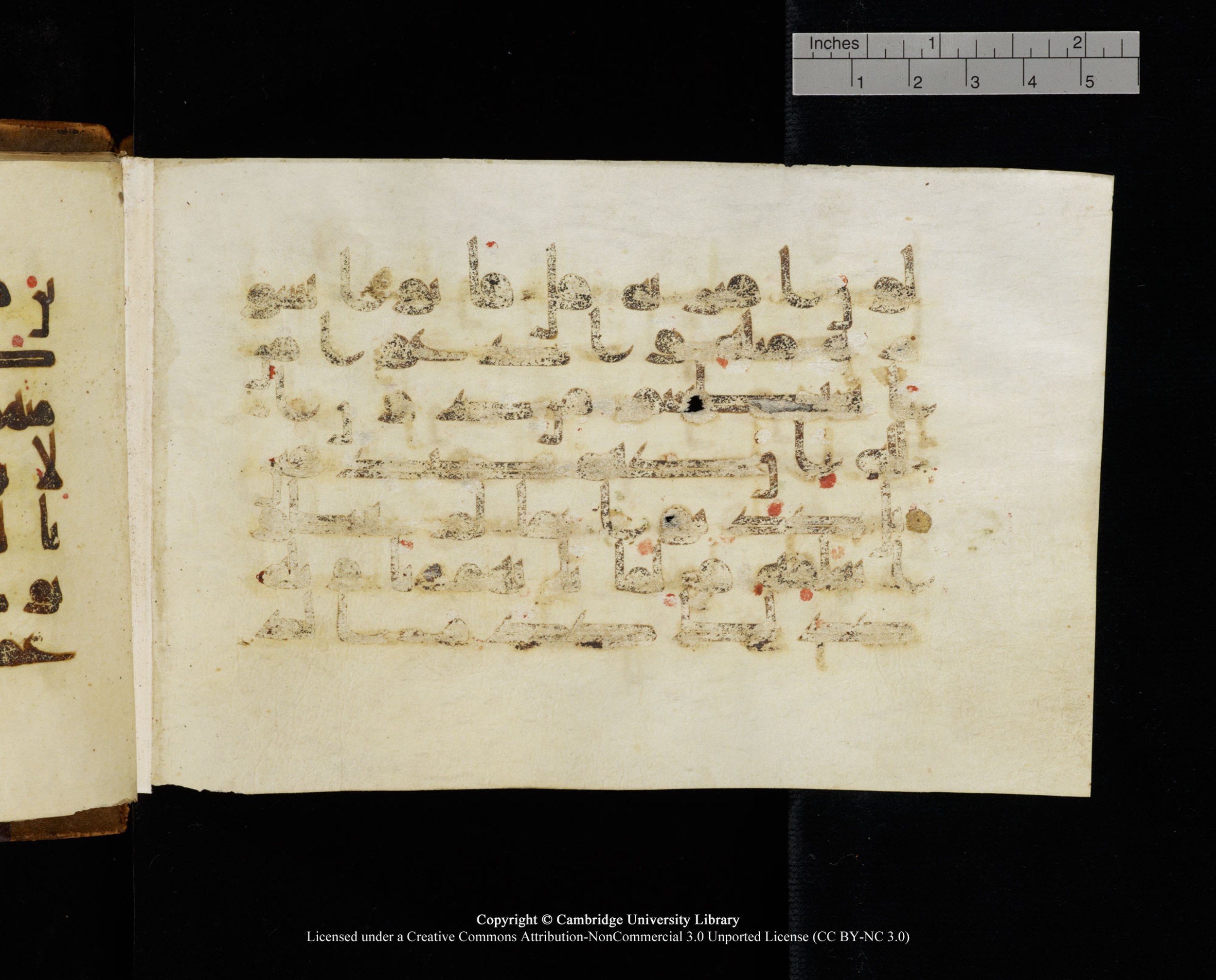 MS Add.1124 (Scan 1), in kūfī D I script, showing Surah 10:39 from 9th to 10th Century AD found in Sinai Peninsula, currently housed at Cambridge University Library, Cambridge