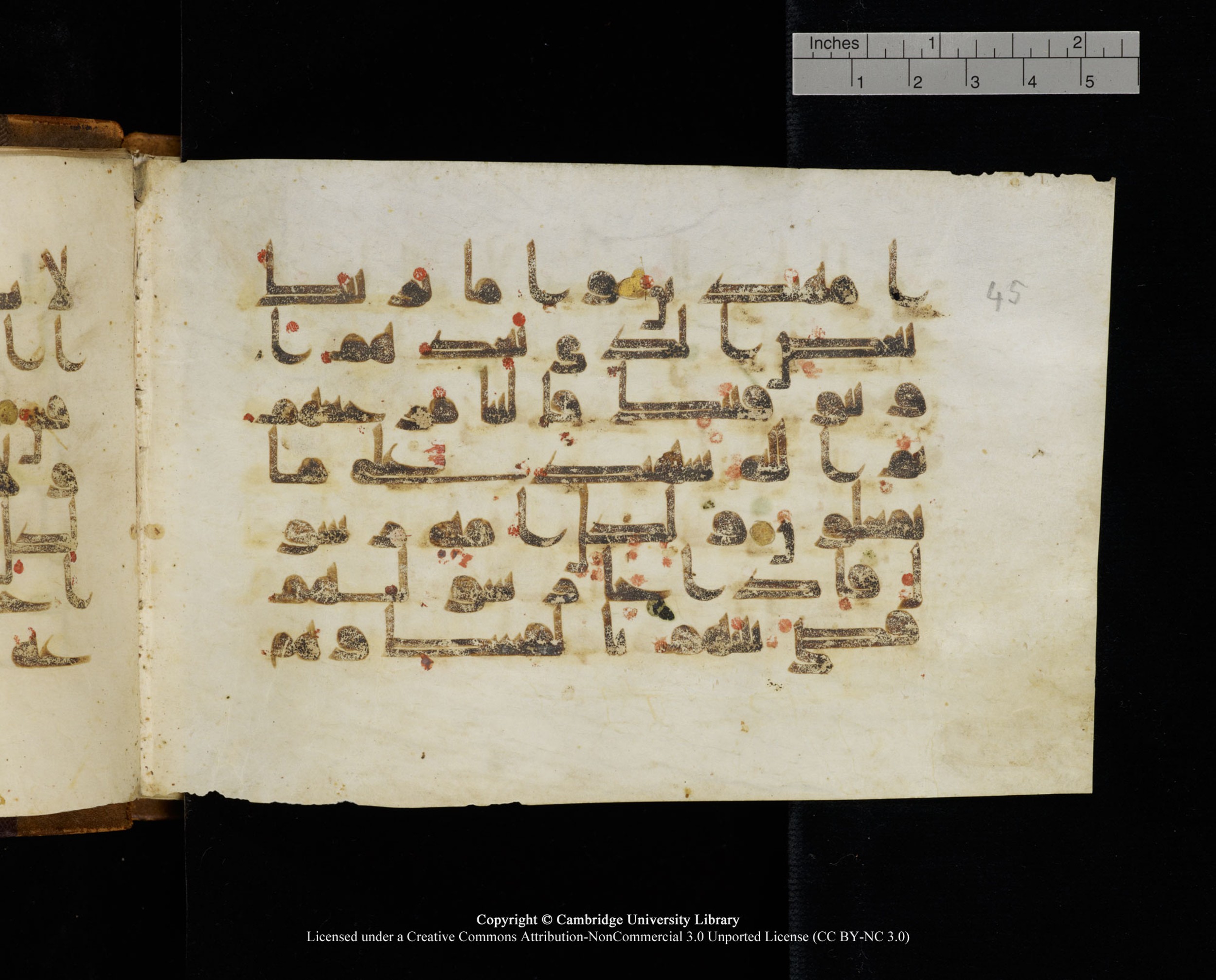 MS Add.1124 (Scan 2), in kūfī D I script, showing Surah 10:41 from 9th to 10th Century AD found in Sinai Peninsula, currently housed at Cambridge University Library, Cambridge