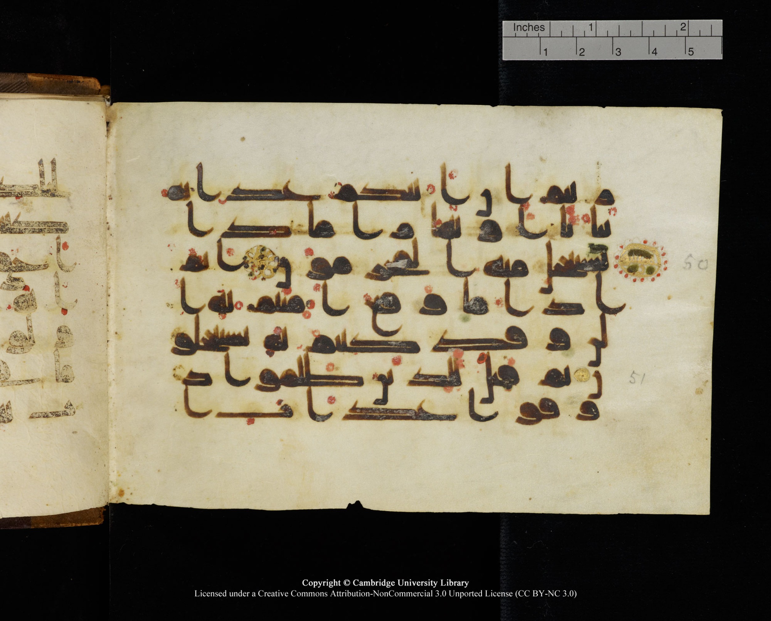 MS Add.1124 (Scan 1), in kūfī D I script, showing Surah 10:52 from 9th to 10th Century AD found in Sinai Peninsula, currently housed at Cambridge University Library, Cambridge