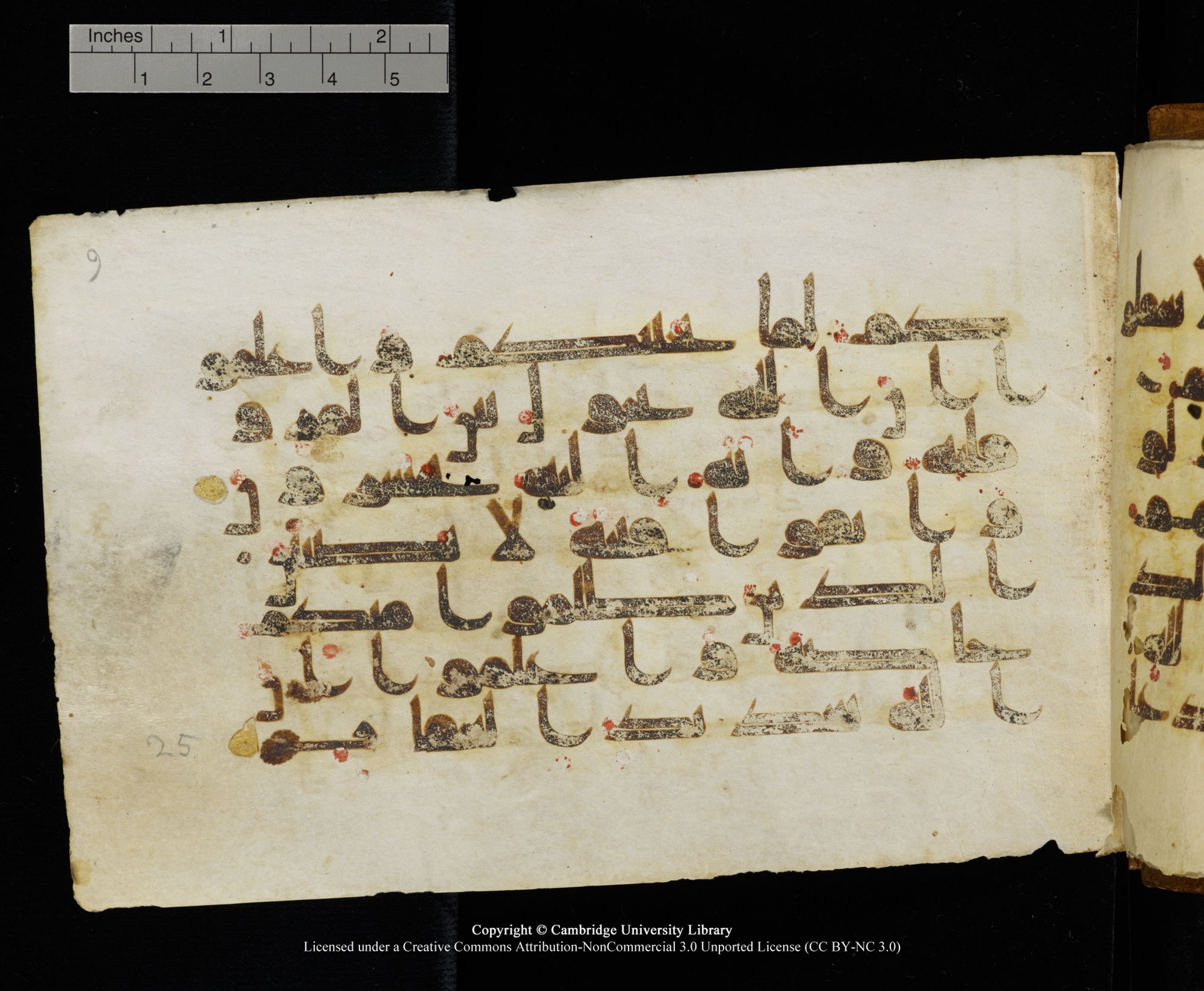 MS Add.1124 (Scan 2), in kūfī D I script, showing Surah 8:24 from 9th to 10th Century AD found in Sinai Peninsula, currently housed at Cambridge University Library, Cambridge