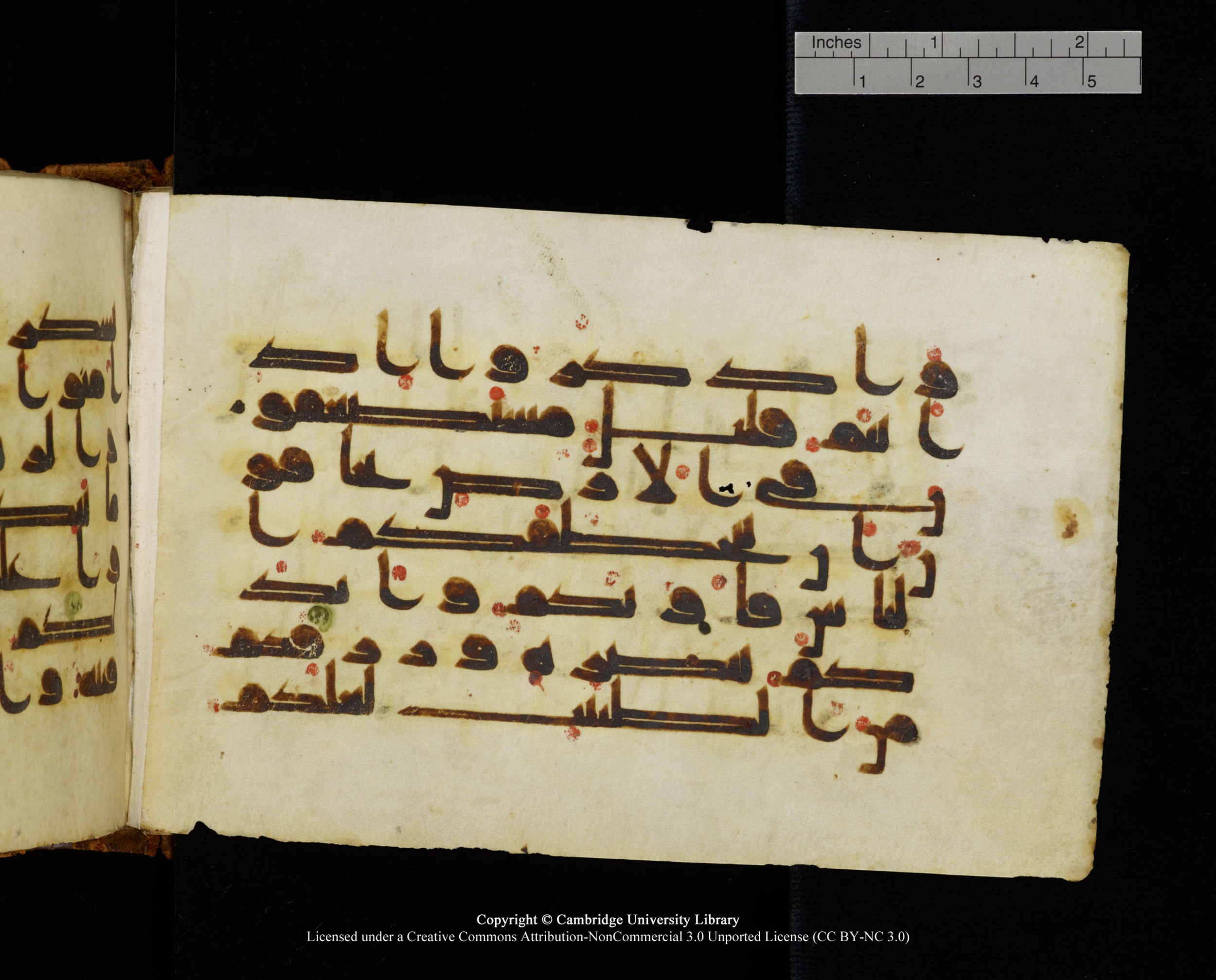 MS Add.1124 (Scan 2), in kūfī D I script, showing Surah 8:26 from 9th to 10th Century AD found in Sinai Peninsula, currently housed at Cambridge University Library, Cambridge
