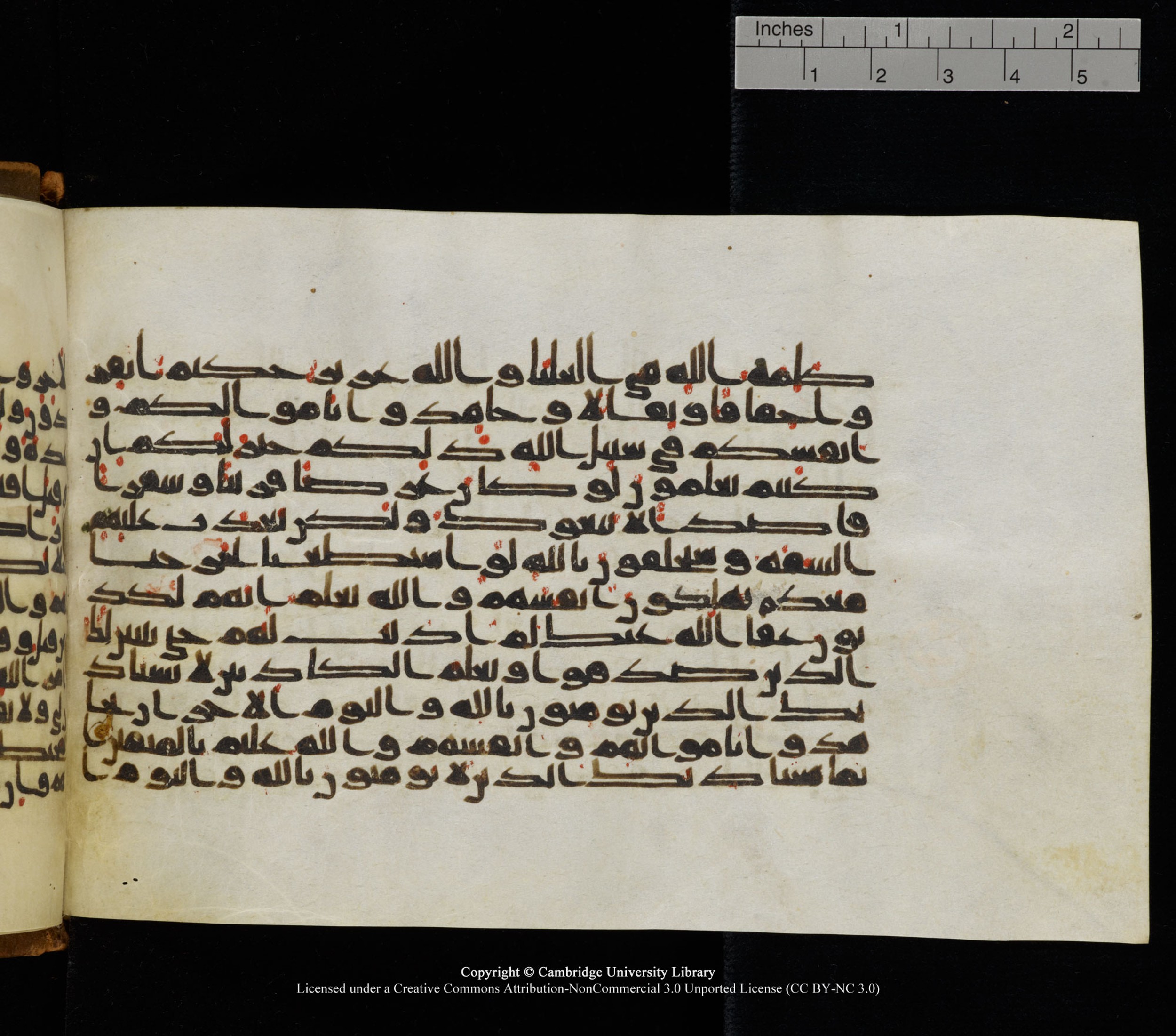 Cambridge University Library, MS Add.1126 (Scan 2), in kūfī D common script, showing Surah 9:40 from 9th or 10th Century AD found in Sinai Peninsula, currently housed at Cambridge University Library, Cambridge