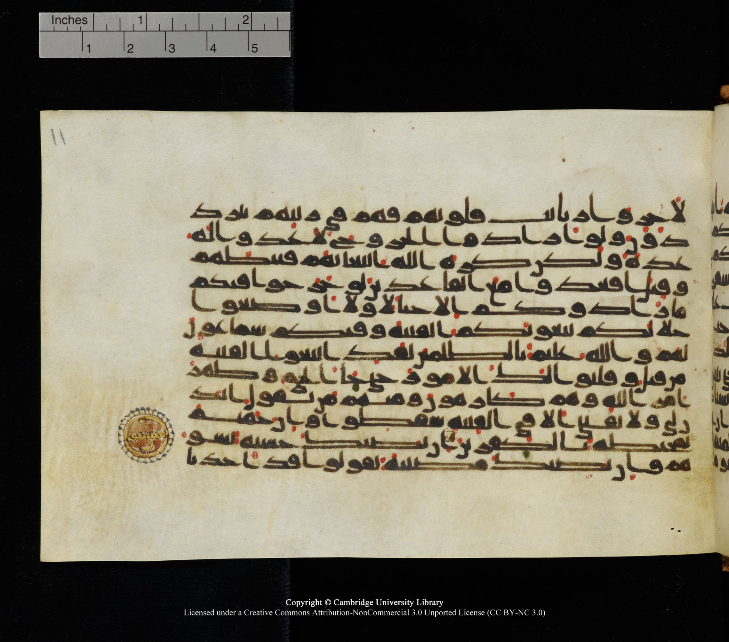 Cambridge University Library, MS Add.1126, in kūfī D common script, showing Surah 9:49 from 9th or 10th Century AD found in Sinai Peninsula, currently housed at Cambridge University Library, Cambridge