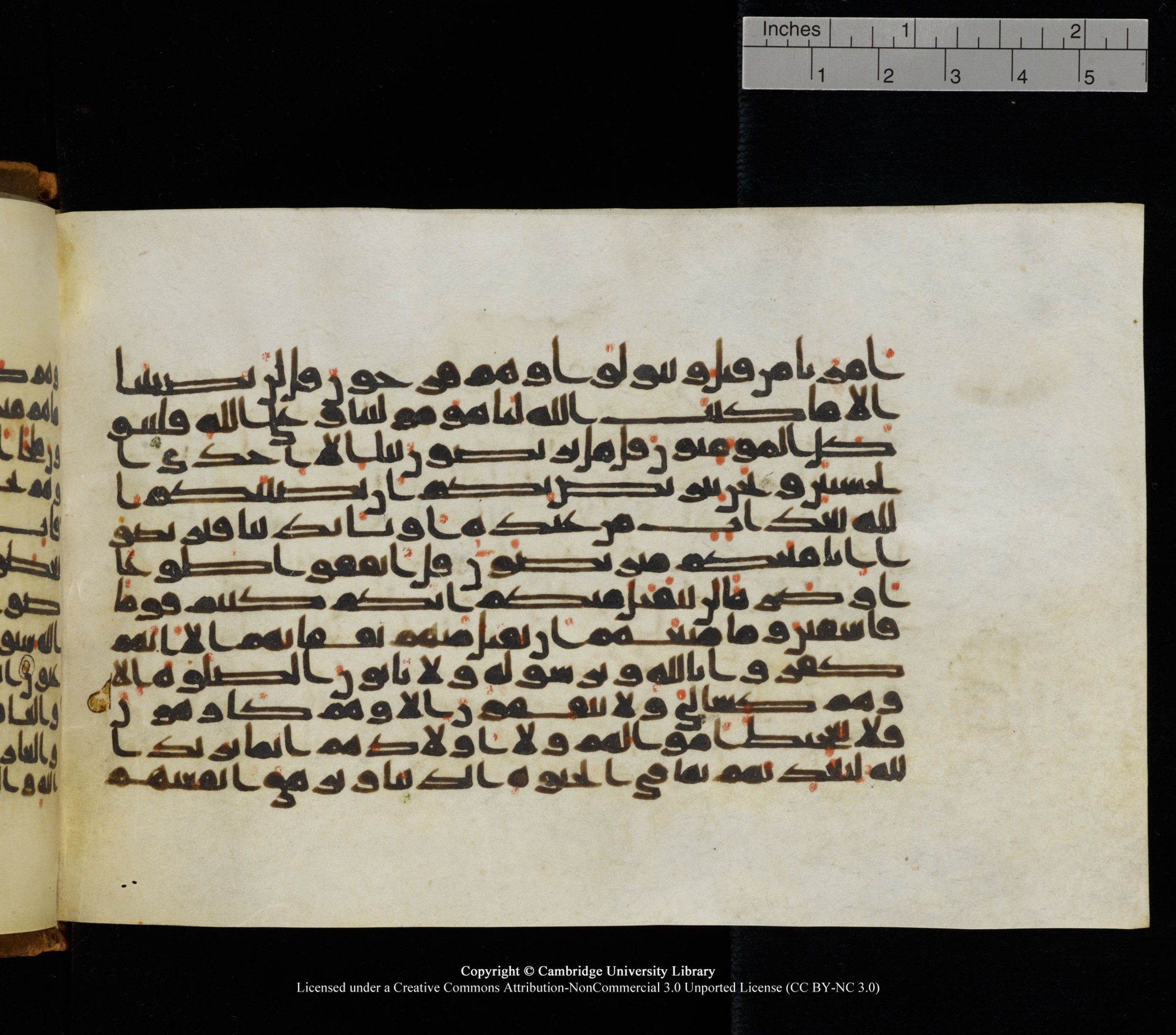 Cambridge University Library, MS Add.1126, in kūfī D common script, showing Surah 9:51 from 9th or 10th Century AD found in Sinai Peninsula, currently housed at Cambridge University Library, Cambridge
