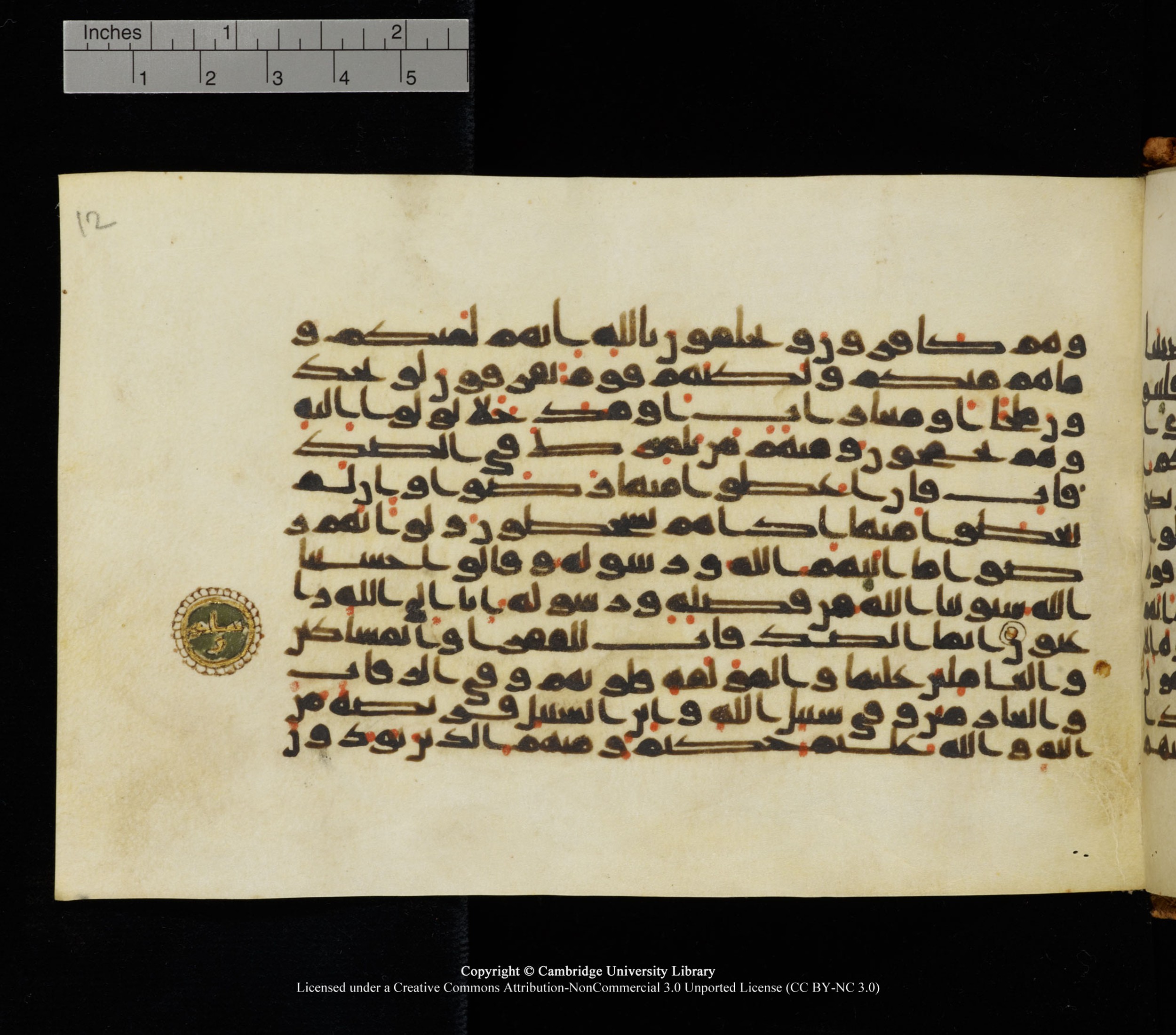 Cambridge University Library, MS Add.1126, in kūfī D common script, showing Surah 9:56 from 9th or 10th Century AD found in Sinai Peninsula, currently housed at Cambridge University Library, Cambridge