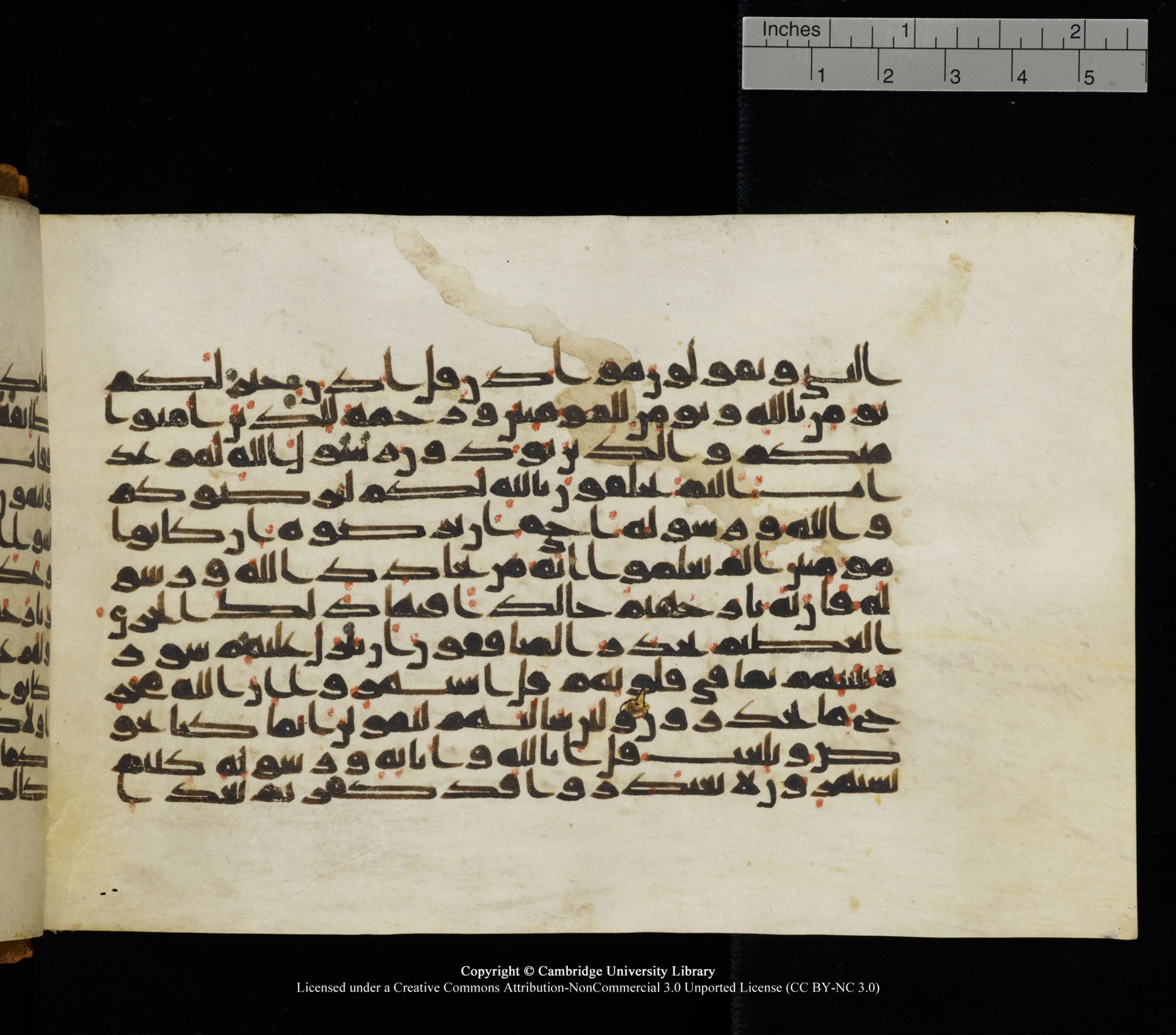 Cambridge University Library, MS Add.1126, in kūfī D common script, showing Surah 9:65 from 9th or 10th Century AD found in Sinai Peninsula, currently housed at Cambridge University Library, Cambridge