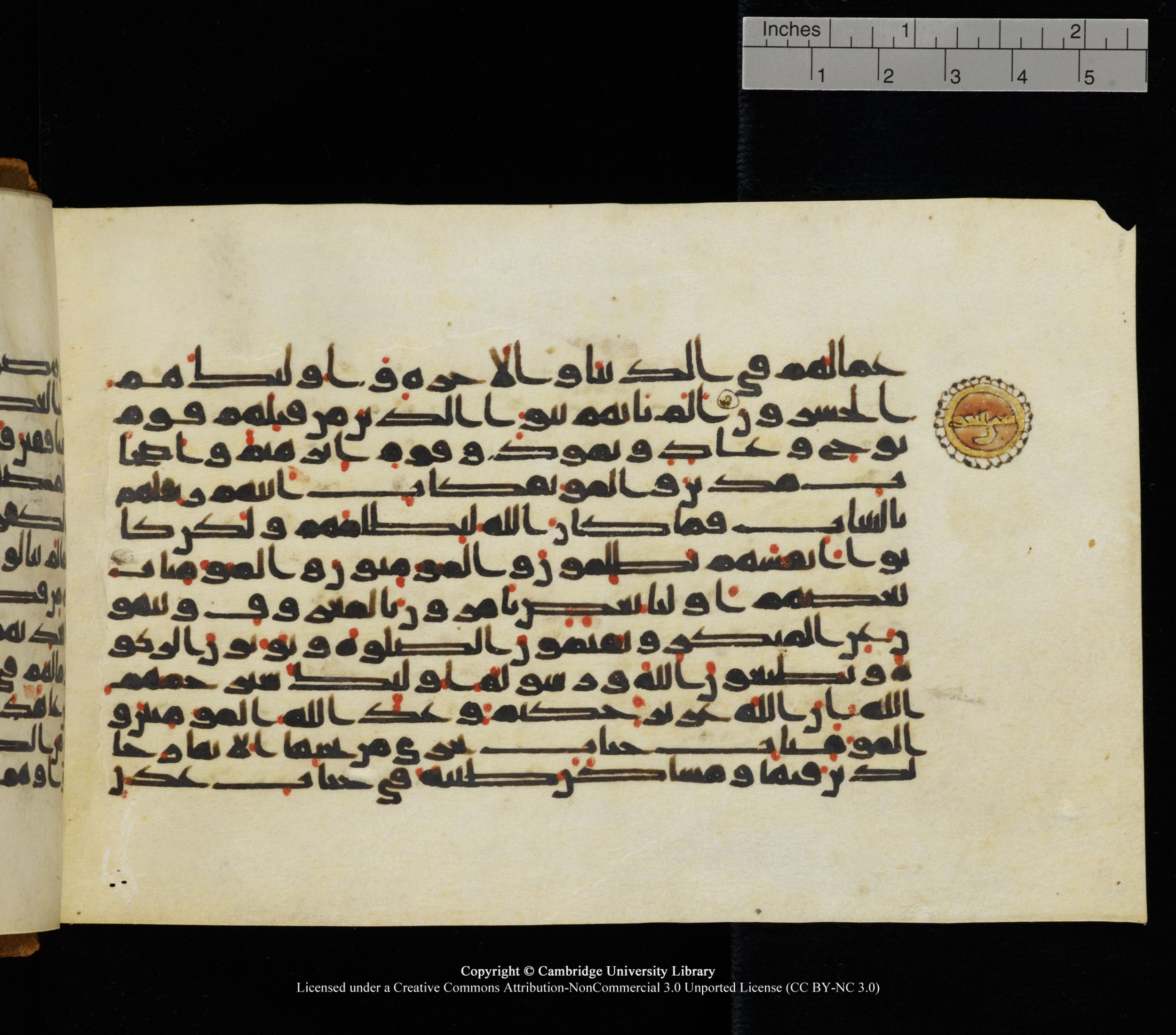 Cambridge University Library, MS Add.1126, in kūfī D common script, showing Surah 9:71 from 9th or 10th Century AD found in Sinai Peninsula, currently housed at Cambridge University Library, Cambridge