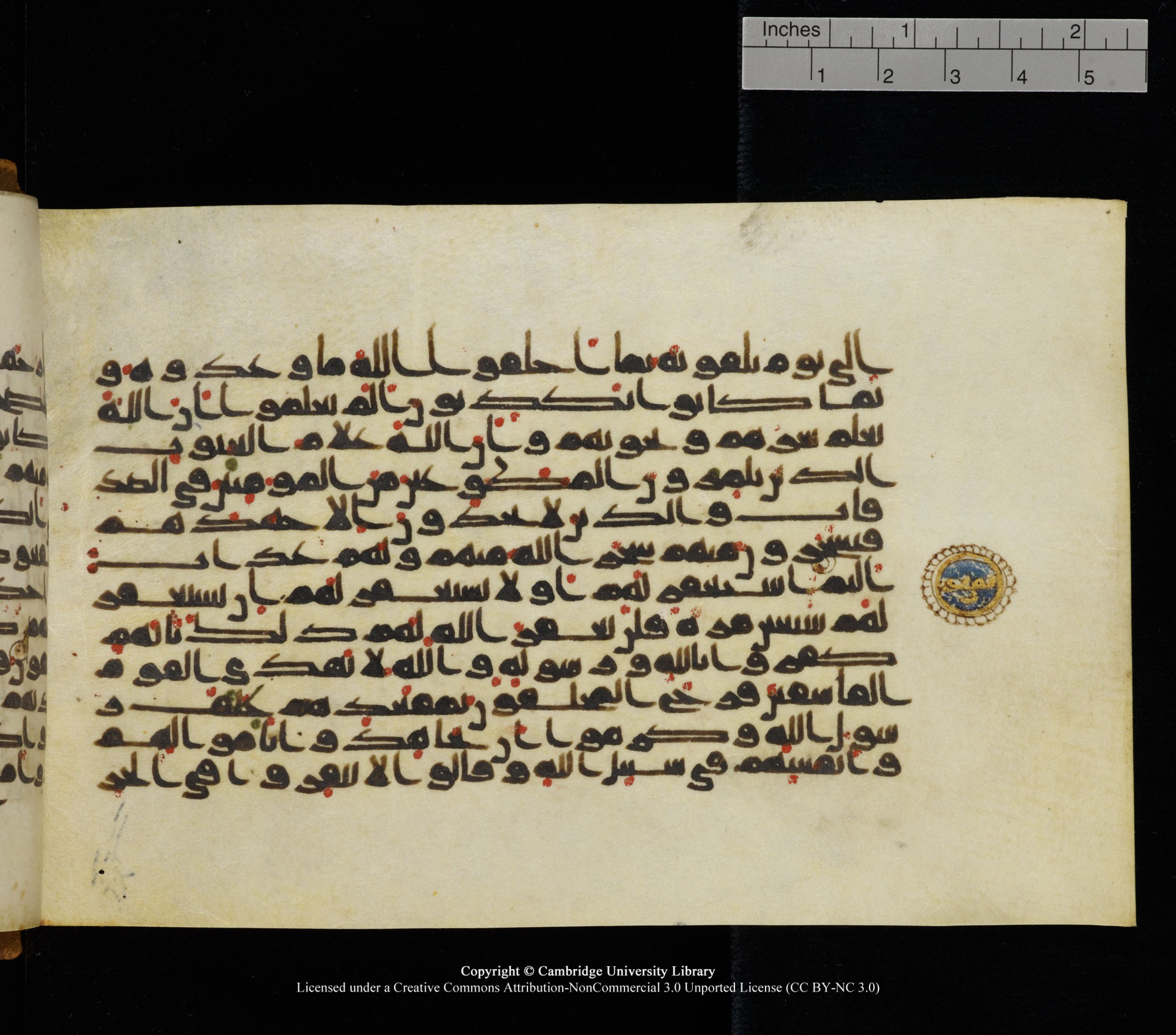 Cambridge University Library, MS Add.1126, in kūfī D common script, showing Surah 9:80 from 9th or 10th Century AD found in Sinai Peninsula, currently housed at Cambridge University Library, Cambridge