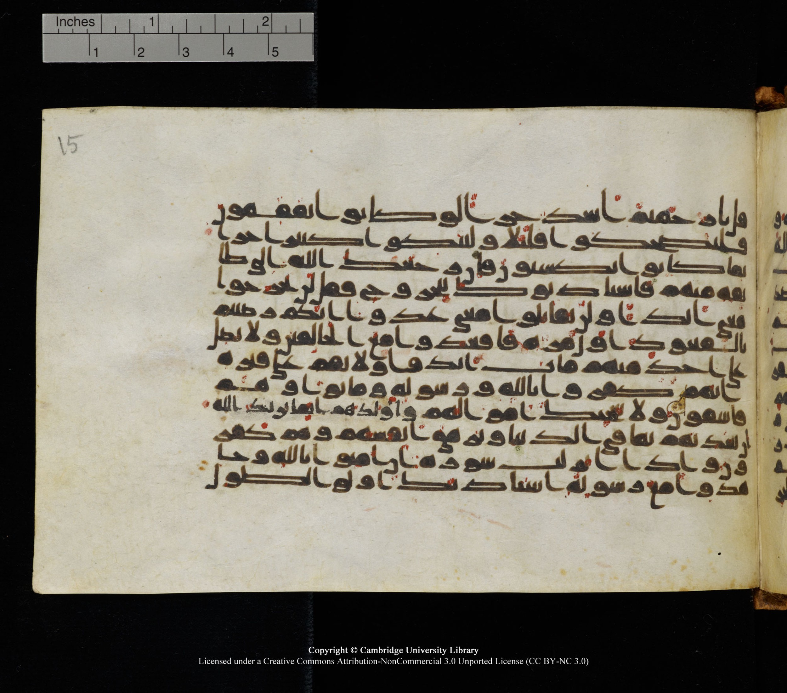 Cambridge University Library, MS Add.1126, in kūfī D common script, showing Surah 9:83 from 9th or 10th Century AD found in Sinai Peninsula, currently housed at Cambridge University Library, Cambridge