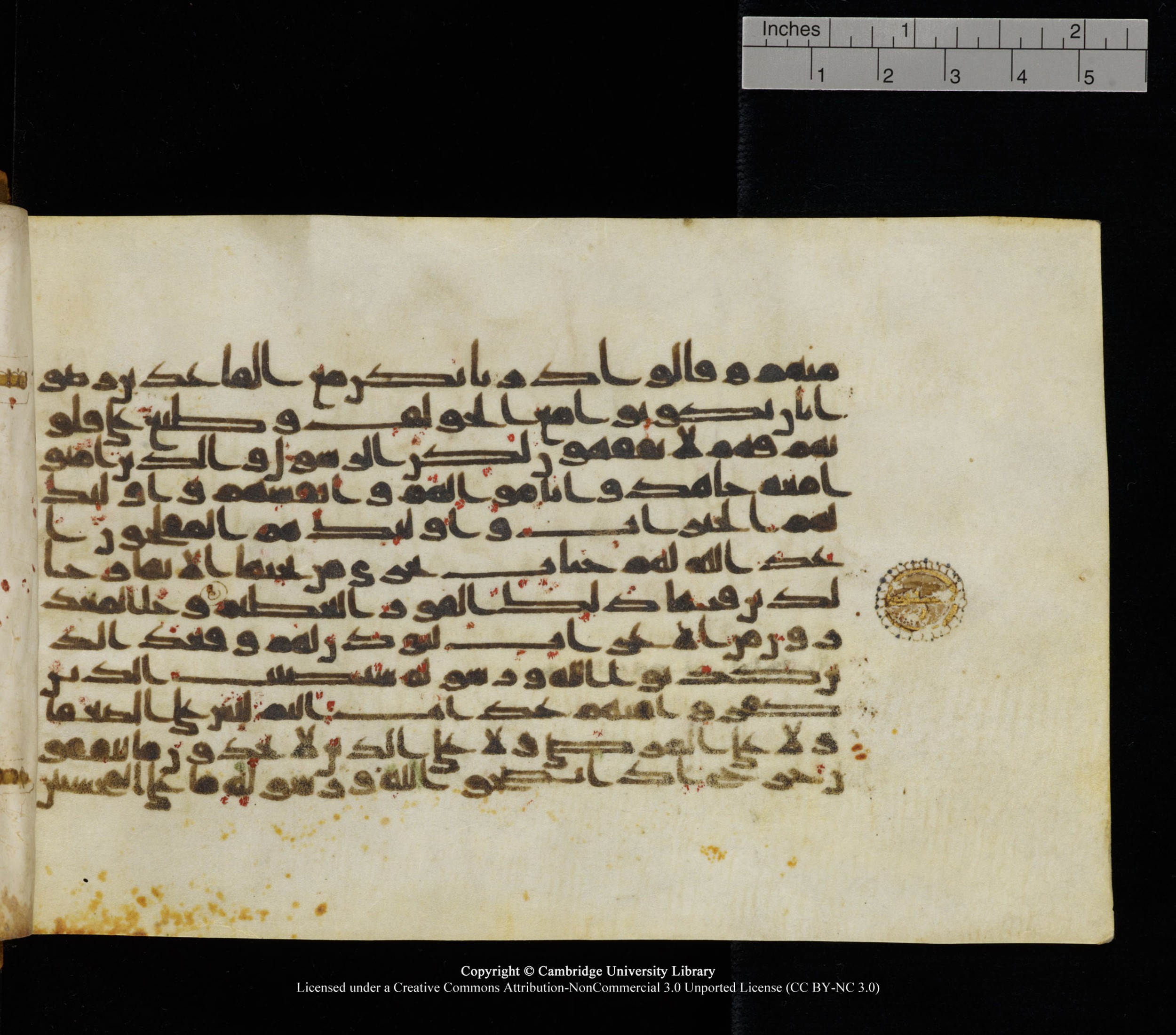 Cambridge University Library, MS Add.1126 (Scan 1), in kūfī D common script, showing Surah 9:91 from 9th or 10th Century AD found in Sinai Peninsula, currently housed at Cambridge University Library, Cambridge