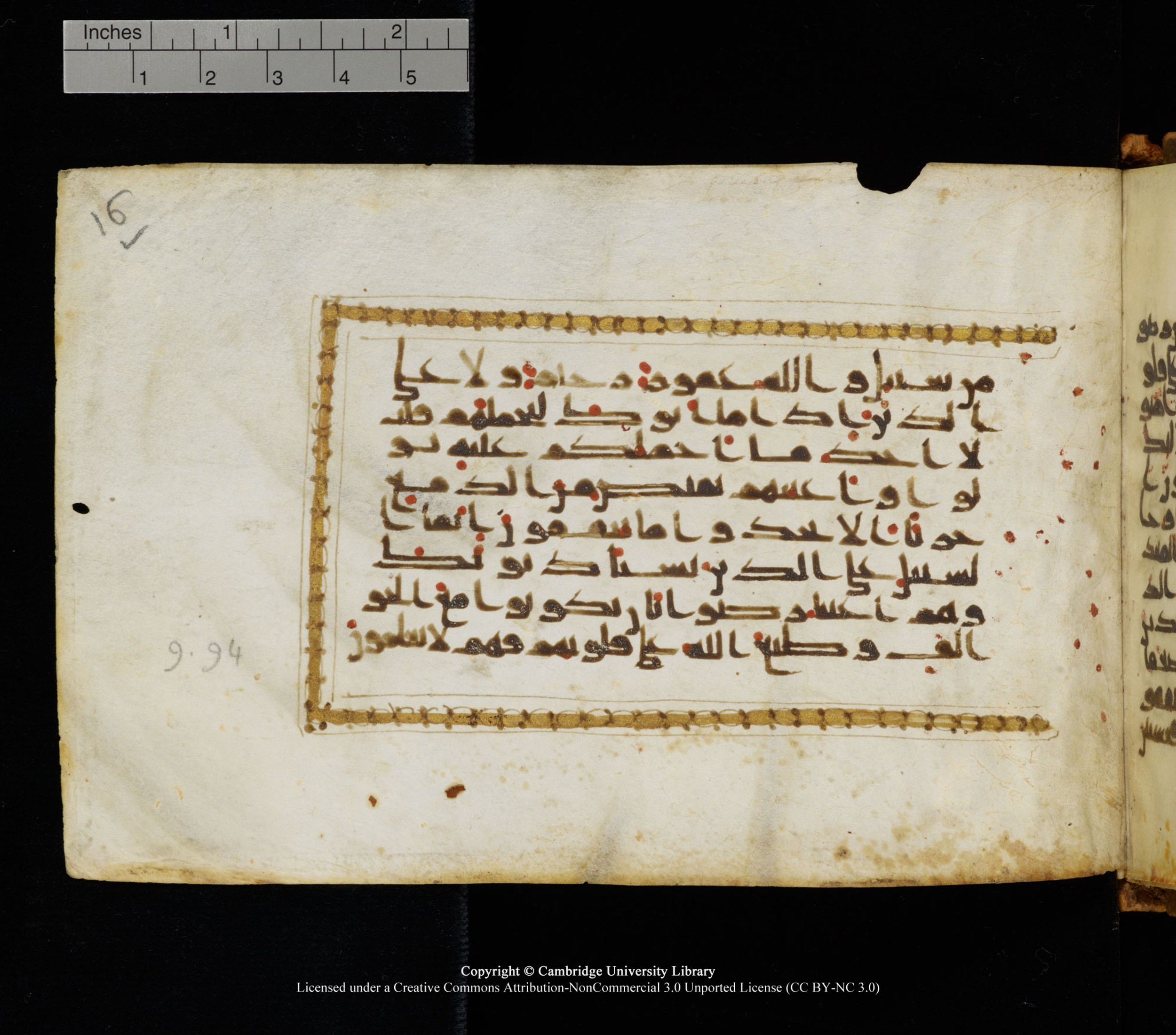 Cambridge University Library, MS Add.1126 (Scan 2), in kūfī D common script, showing Surah 9:91 from 9th or 10th Century AD found in Sinai Peninsula, currently housed at Cambridge University Library, Cambridge