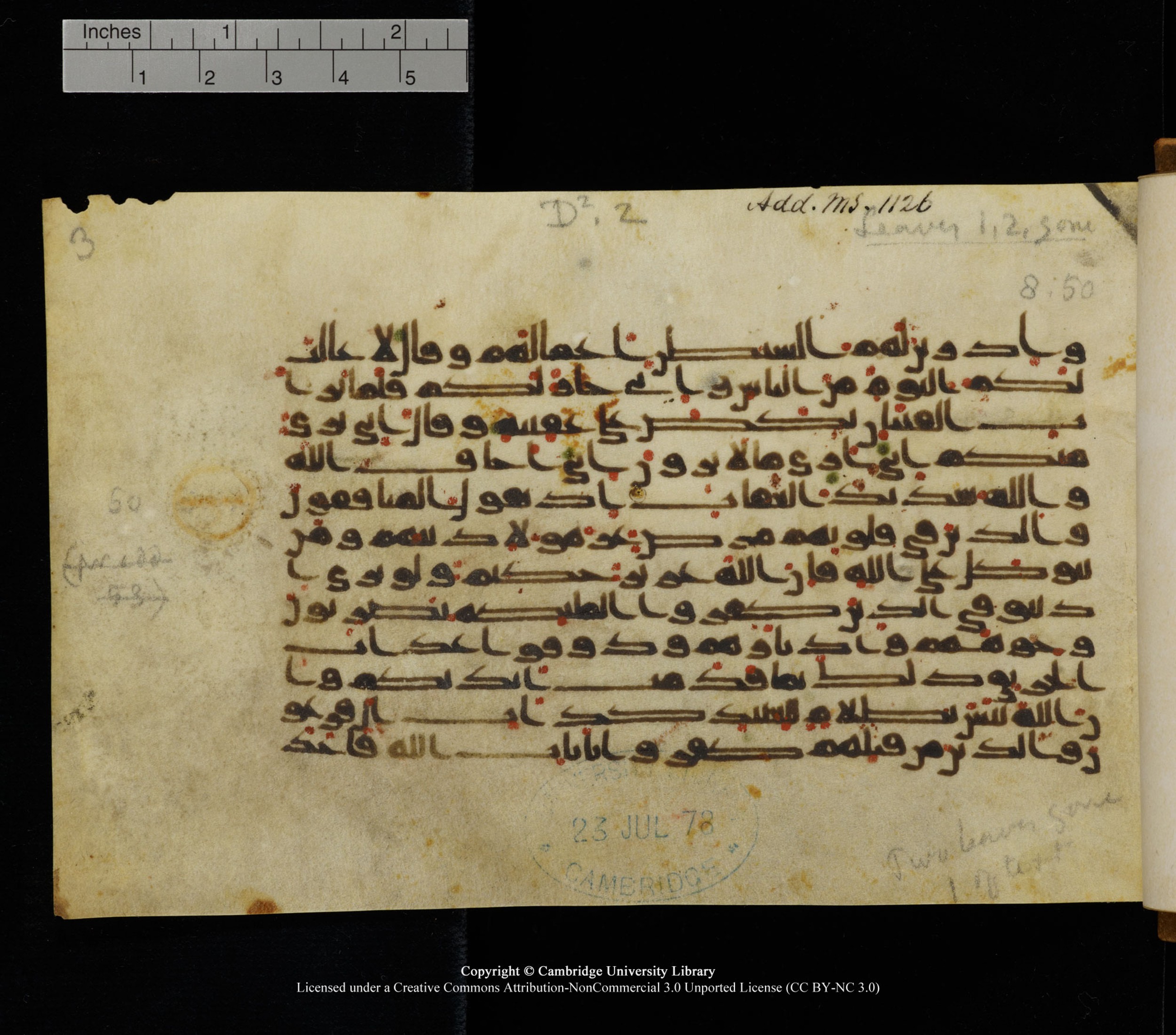 Cambridge University Library, MS Add.1126, in kūfī D common script, showing Surah 8:49 from 9th or 10th Century AD found in Sinai Peninsula, currently housed at Cambridge University Library, Cambridge