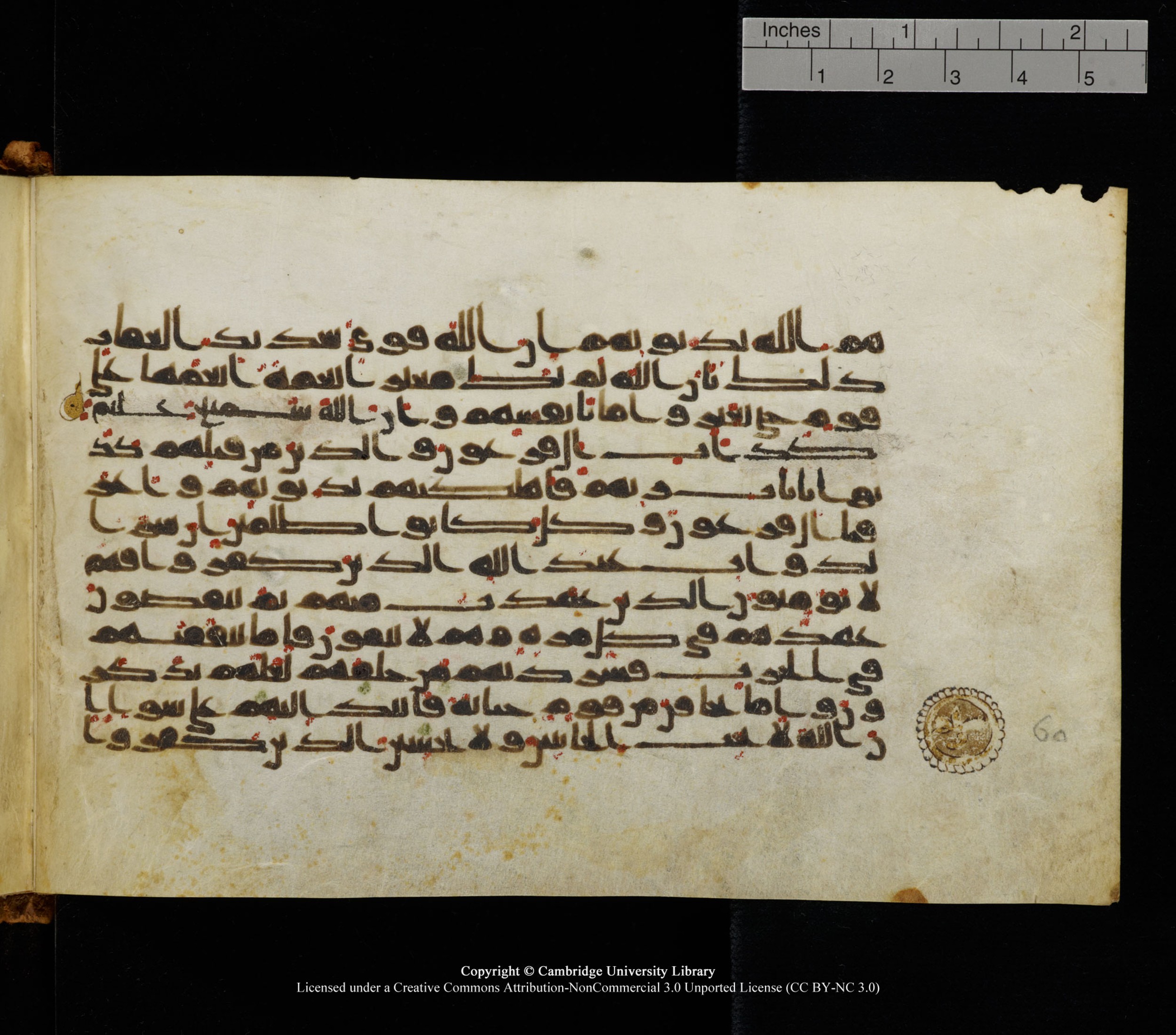 Cambridge University Library, MS Add.1126 (Scan 2), in kūfī D common script, showing Surah 8:52 from 9th or 10th Century AD found in Sinai Peninsula, currently housed at Cambridge University Library, Cambridge