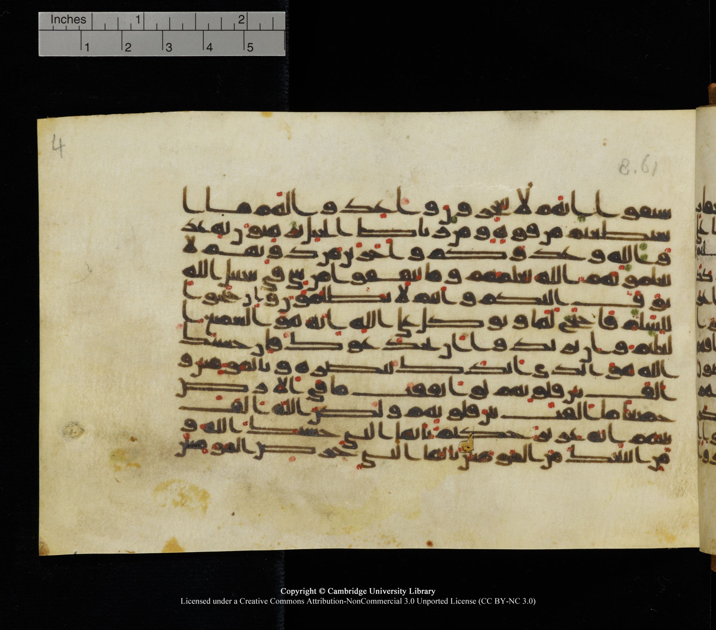 Cambridge University Library, MS Add.1126, in kūfī D common script, showing Surah 8:64 from 9th or 10th Century AD found in Sinai Peninsula, currently housed at Cambridge University Library, Cambridge