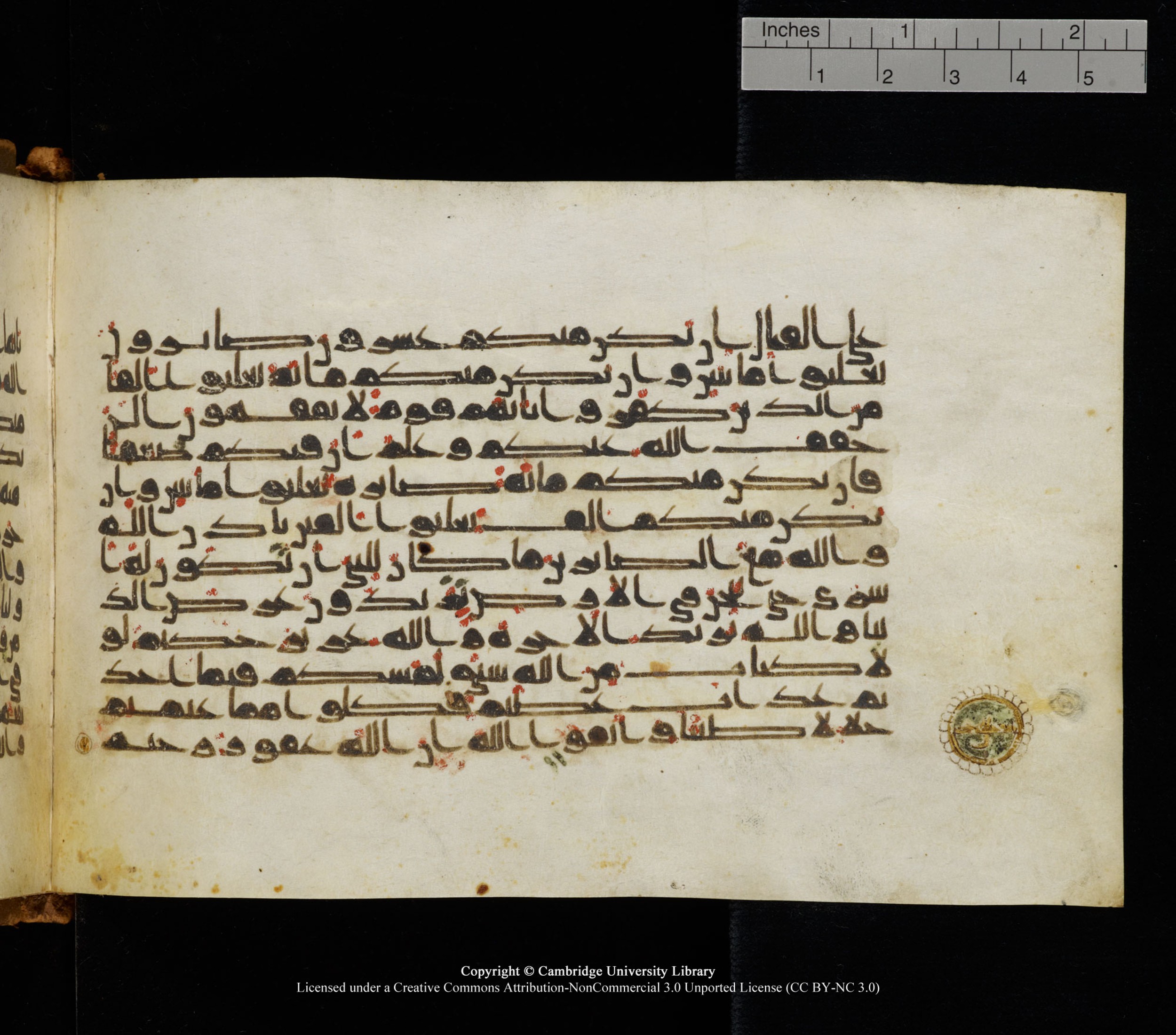 Cambridge University Library, MS Add.1126, in kūfī D common script, showing Surah 8:69 from 9th or 10th Century AD found in Sinai Peninsula, currently housed at Cambridge University Library, Cambridge