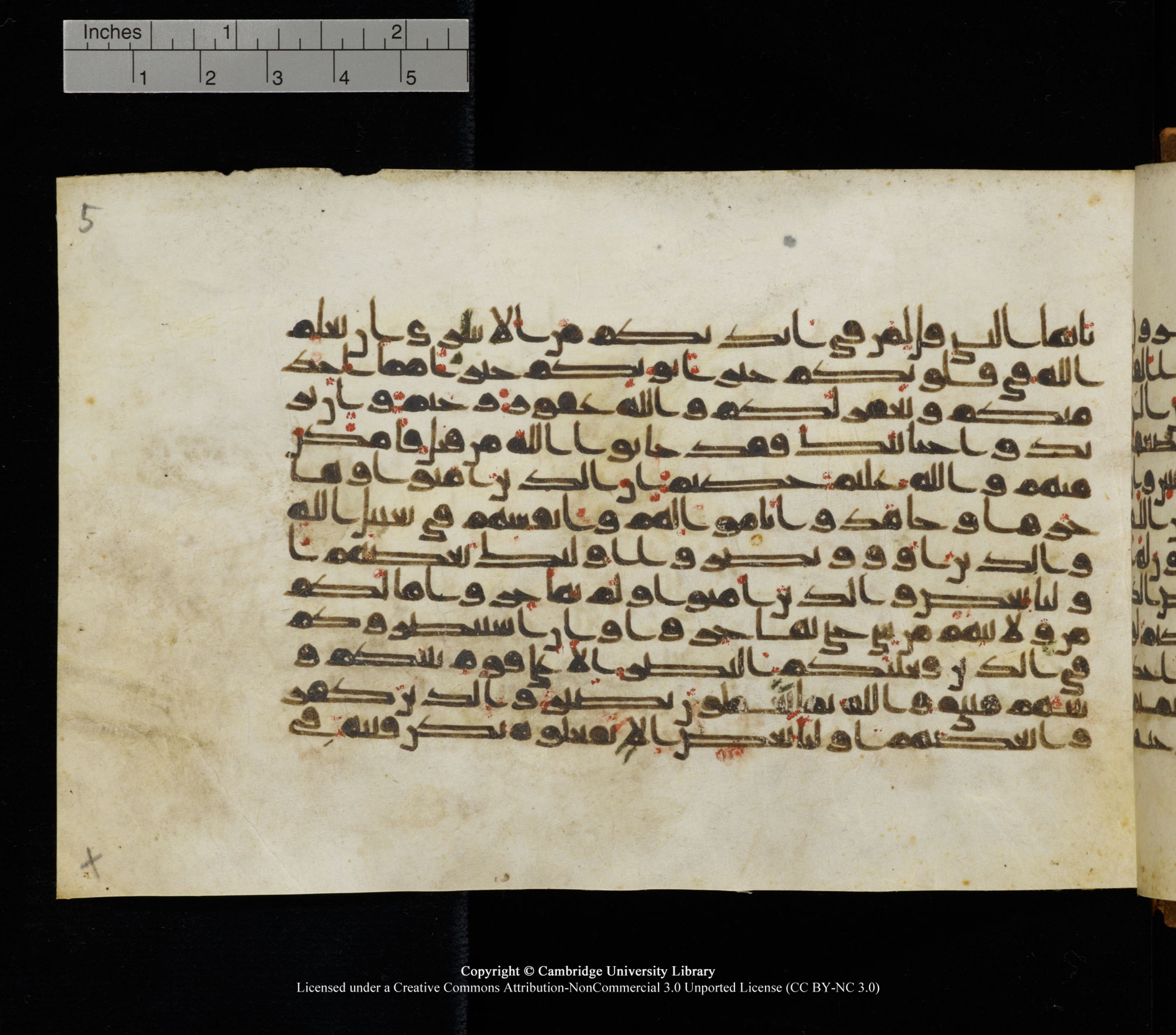 Cambridge University Library, MS Add.1126, in kūfī D common script, showing Surah 8:71 from 9th or 10th Century AD found in Sinai Peninsula, currently housed at Cambridge University Library, Cambridge