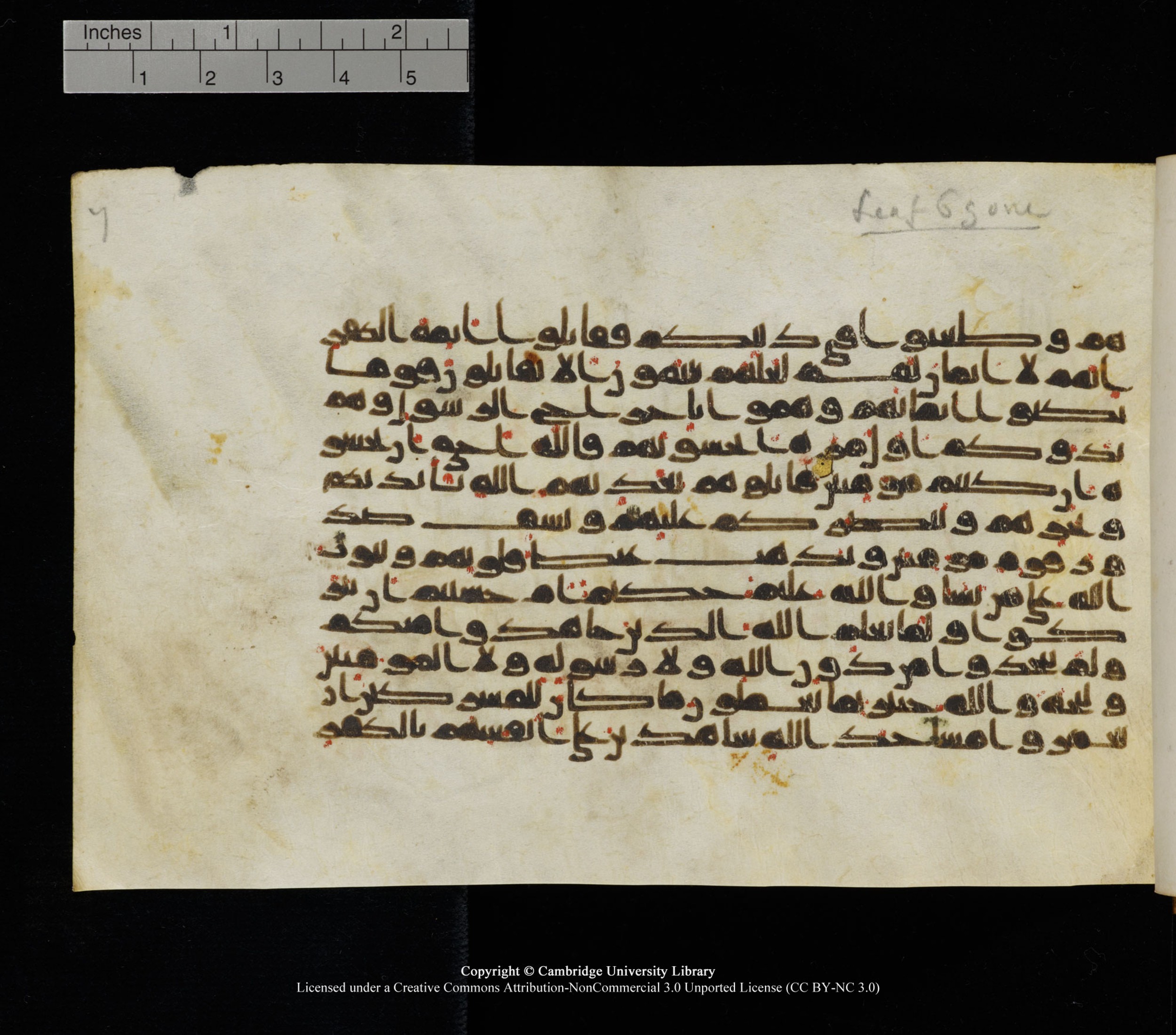 Cambridge University Library, MS Add.1126, in kūfī D common script, showing Surah 9:13 from 9th or 10th Century AD found in Sinai Peninsula, currently housed at Cambridge University Library, Cambridge