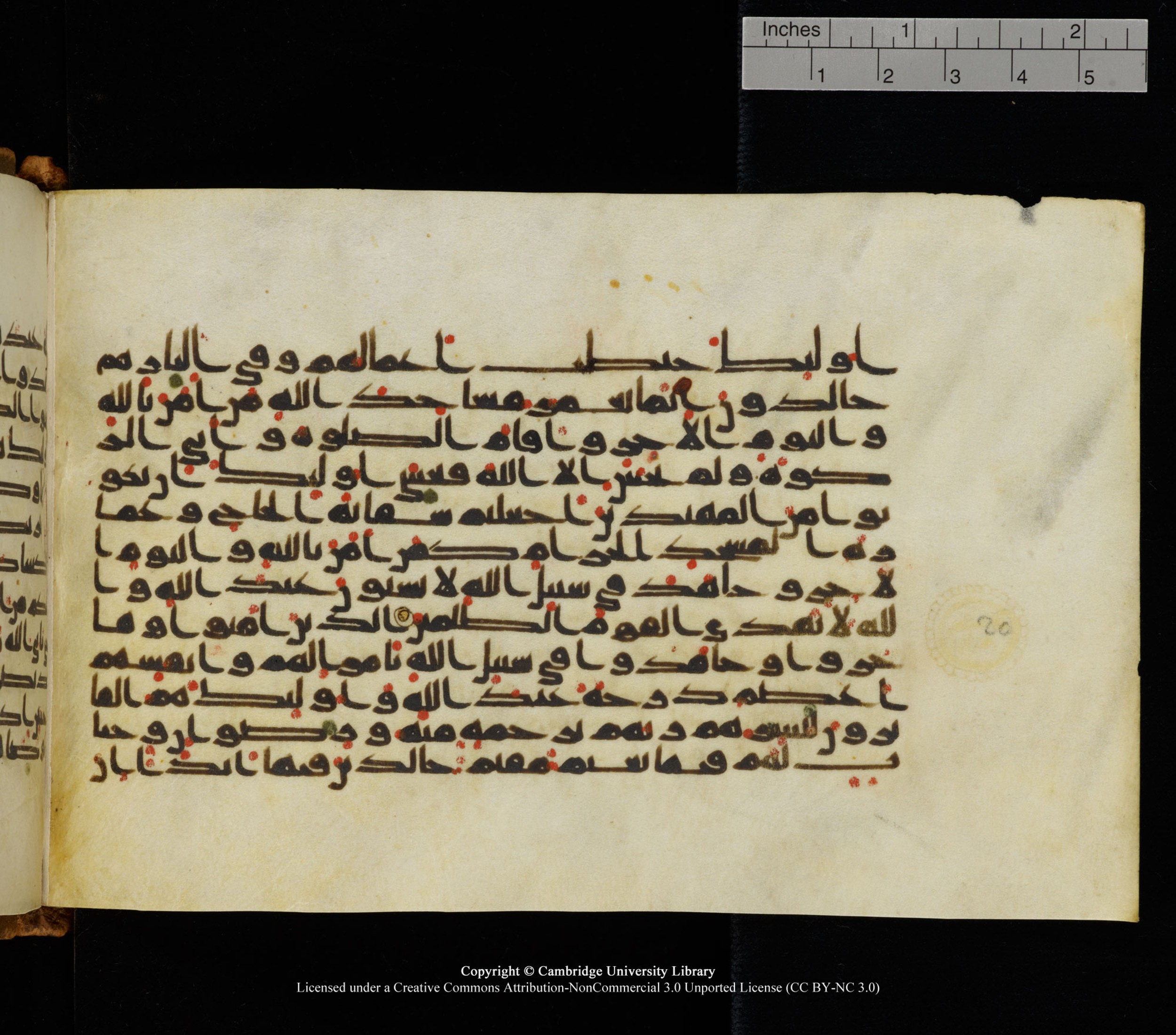 Cambridge University Library, MS Add.1126, in kūfī D common script, showing Surah 9:21 from 9th or 10th Century AD found in Sinai Peninsula, currently housed at Cambridge University Library, Cambridge