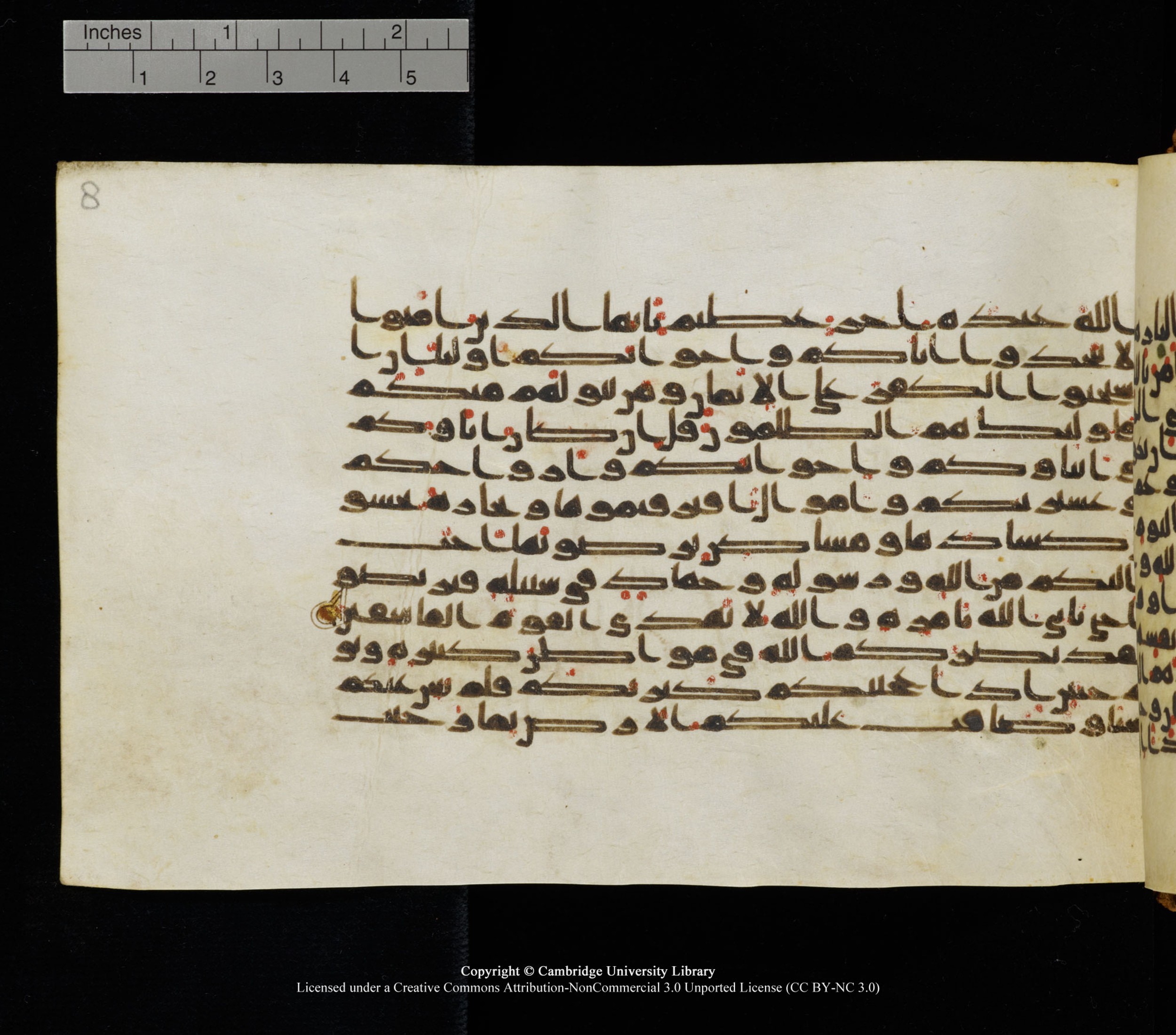 Cambridge University Library, MS Add.1126 (Scan 2), in kūfī D common script, showing Surah 9:22 from 9th or 10th Century AD found in Sinai Peninsula, currently housed at Cambridge University Library, Cambridge