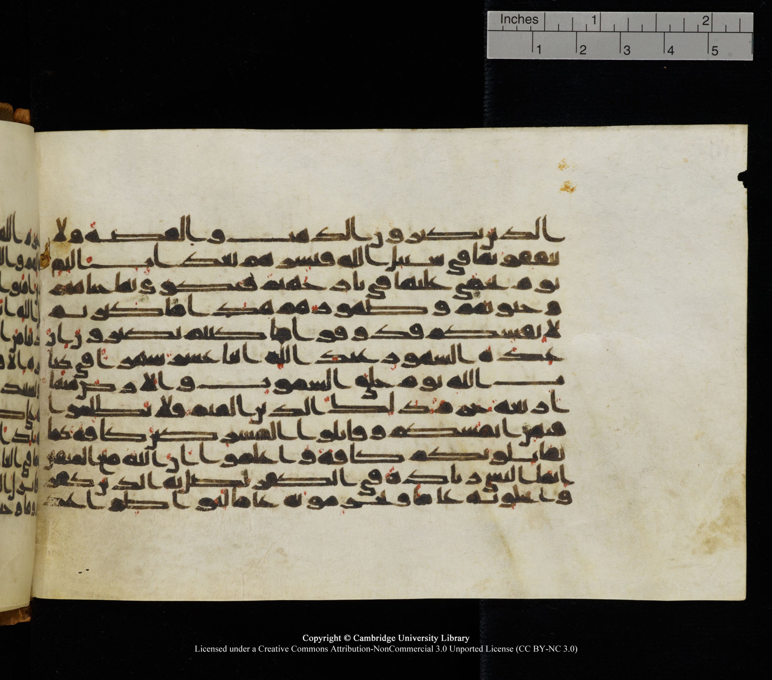 Cambridge University Library, MS Add.1126, in kūfī D common script, showing Surah 9:35 from 9th or 10th Century AD found in Sinai Peninsula, currently housed at Cambridge University Library, Cambridge